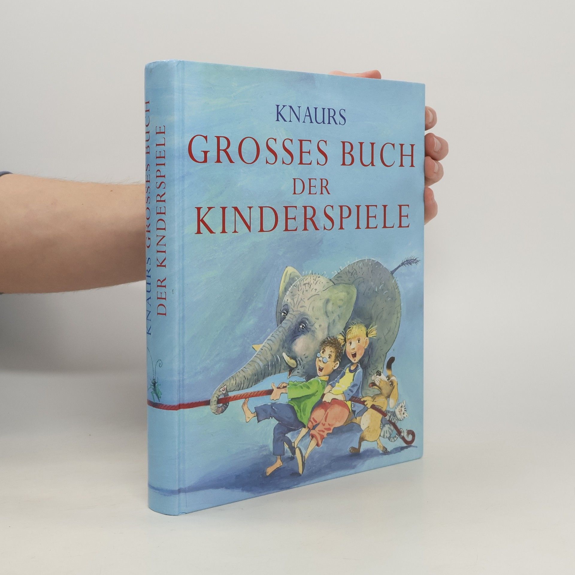 Martin Stiefenhofer Knaurs grosses Buch der Kinderspiele