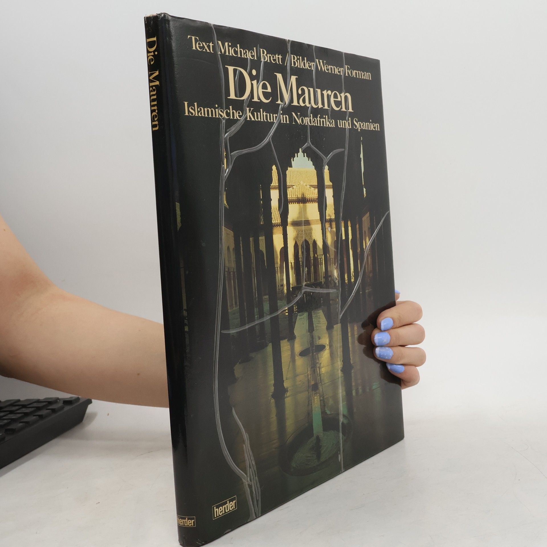 Michael Brett Die Mauren