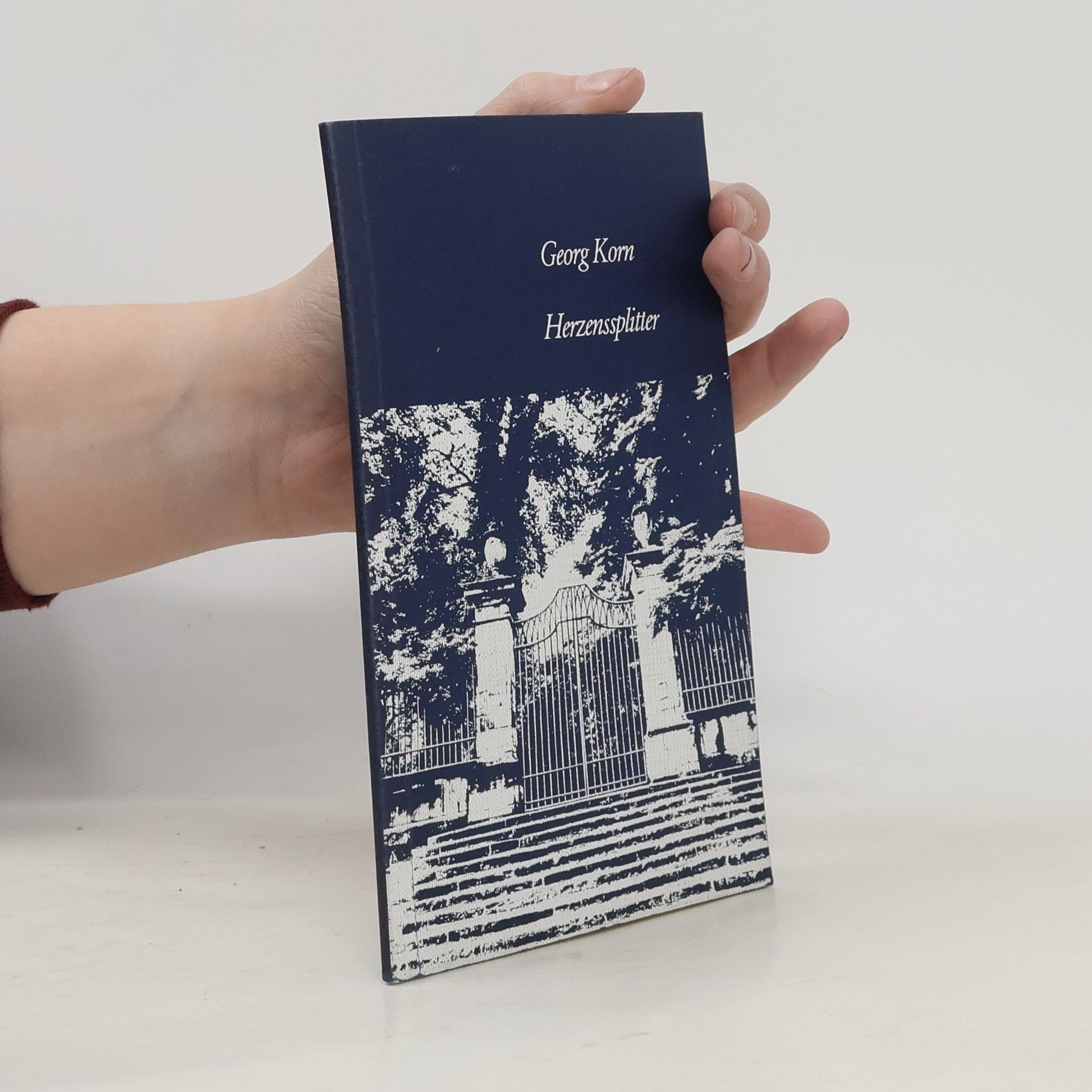 Georg Korn Meine Herzenssplitter