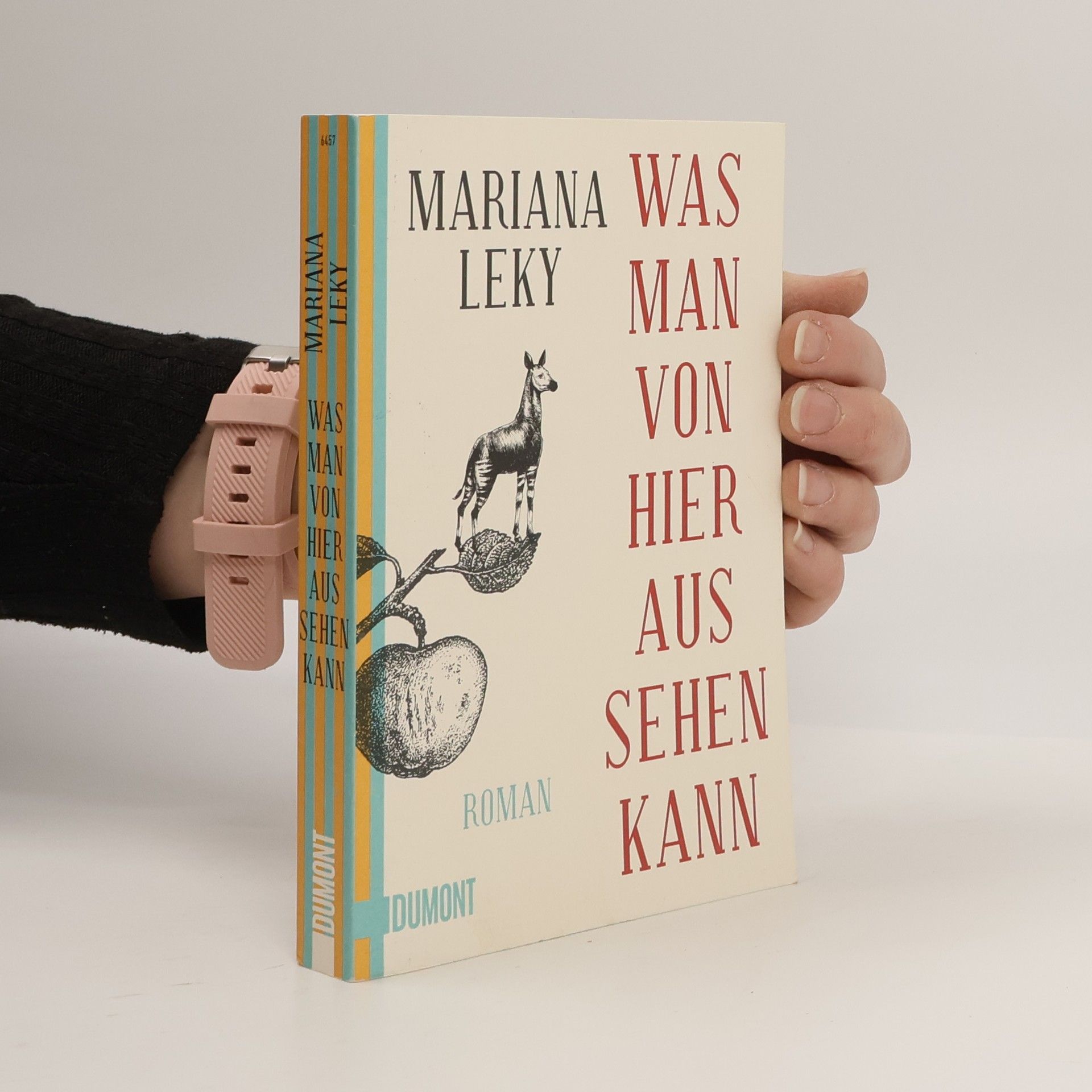 Mariana Leky Was man von hier aus sehen kann