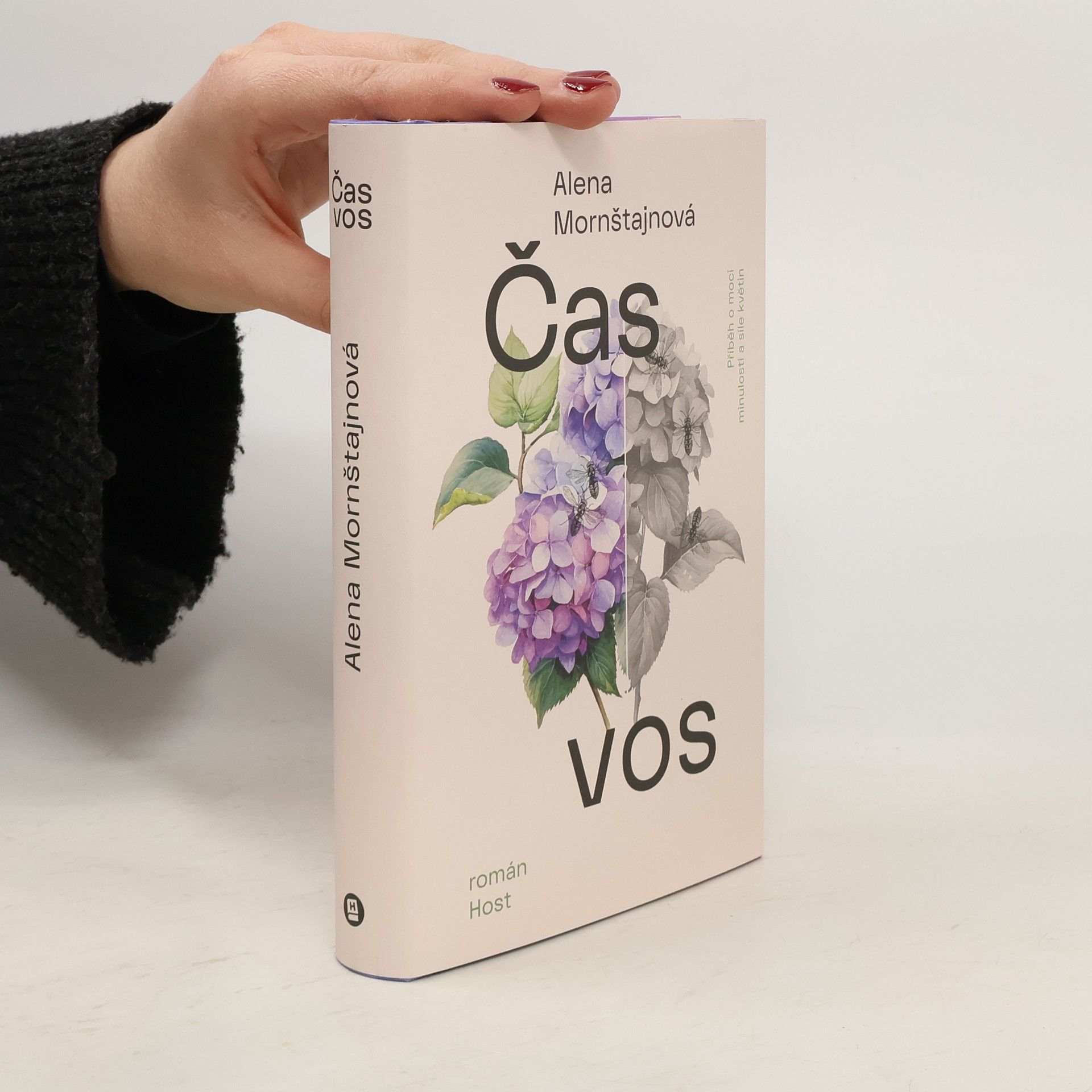 Alena Mornštajnová Čas vos