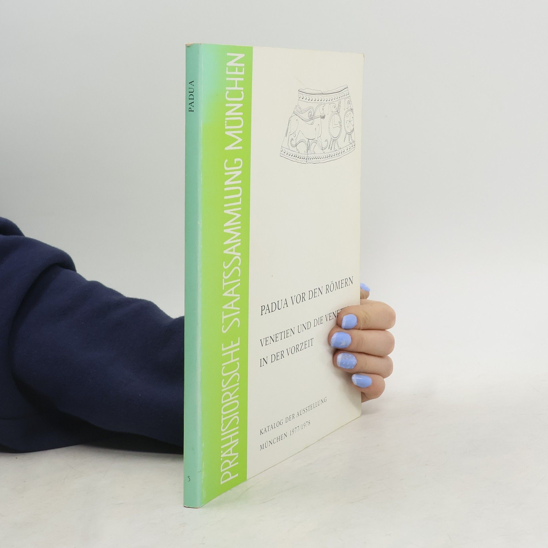 AA.VV. Padua vor den Römern: Venetien und die Veneter in der Vorzeit