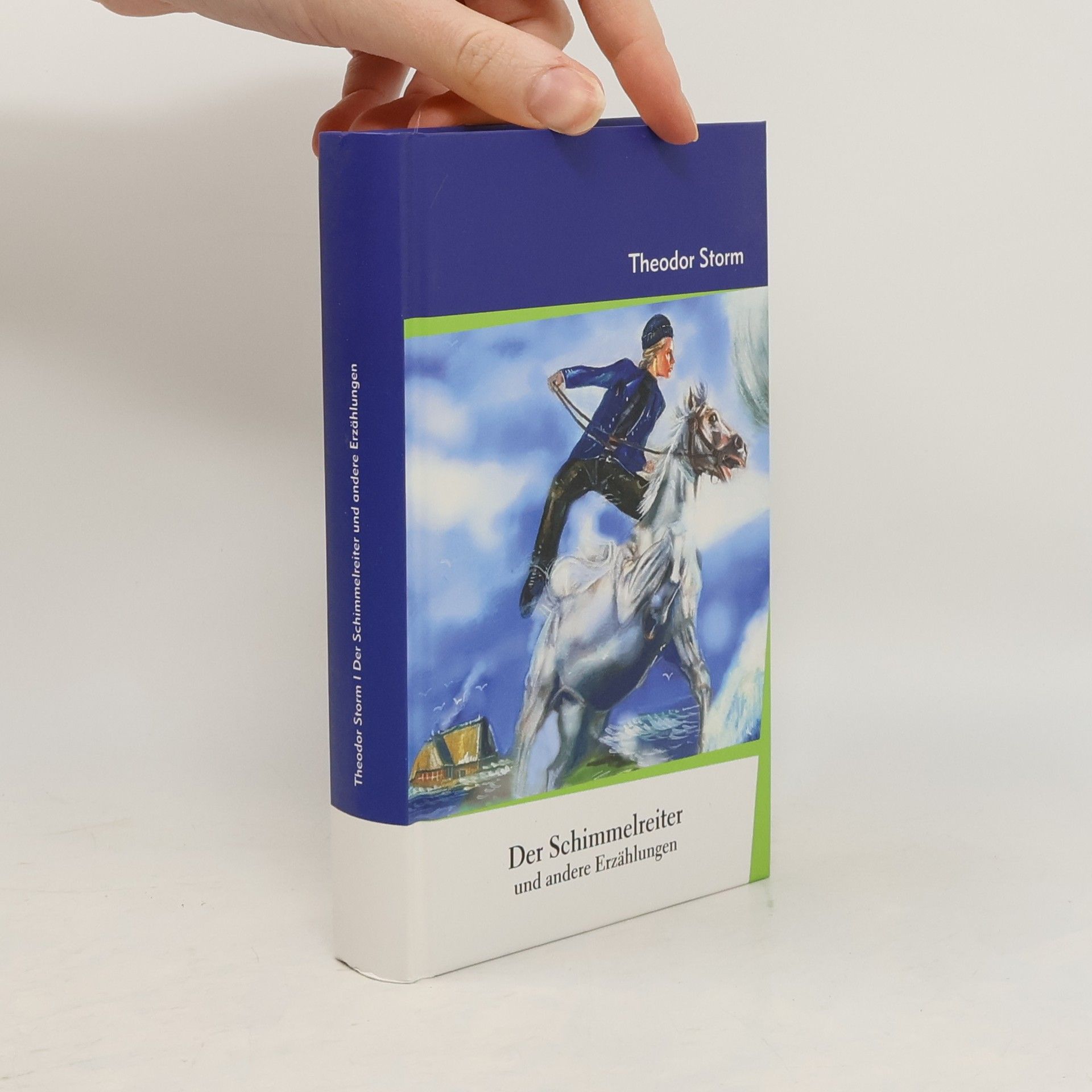 Theodor Storm Der Schimmelreiter