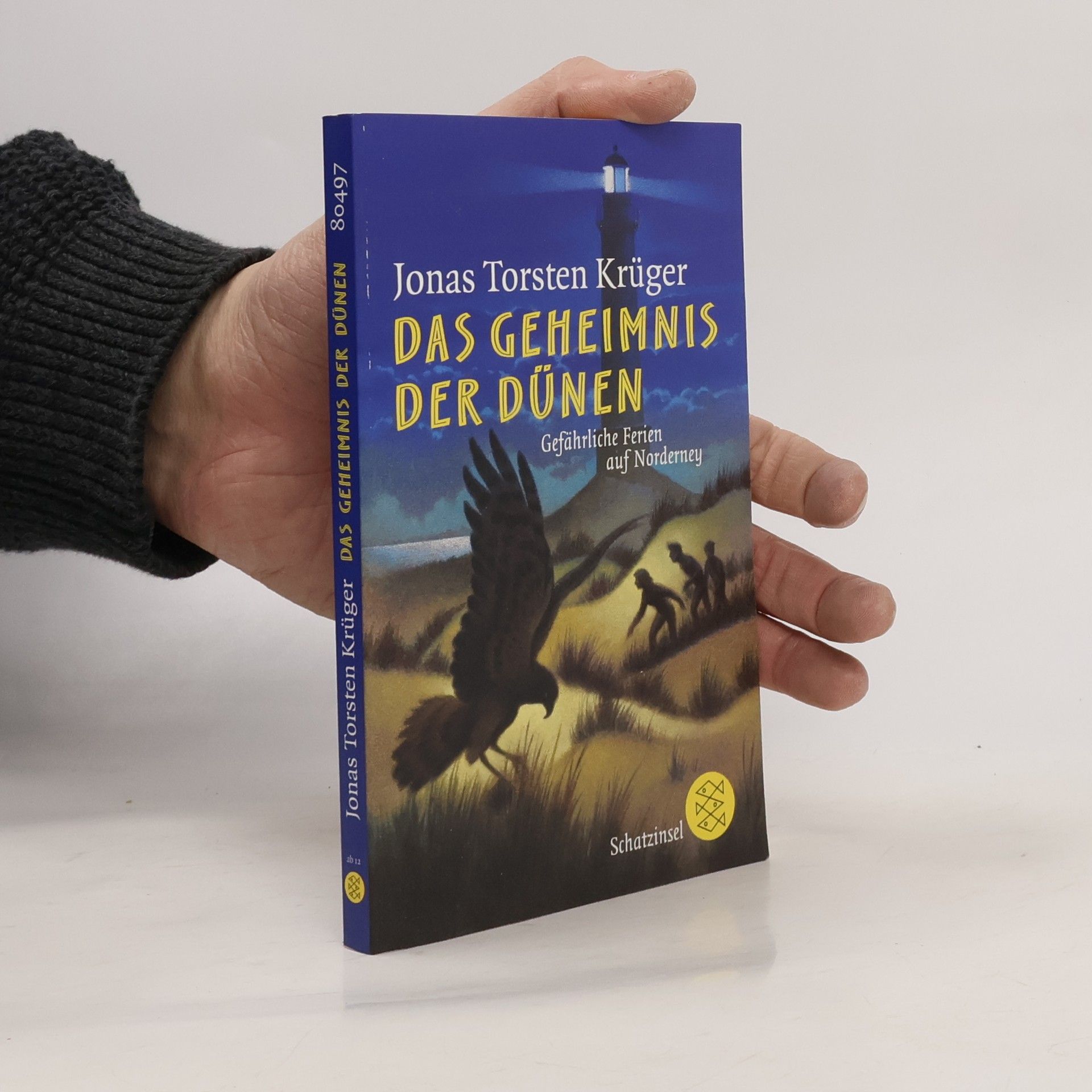 Jonas Torsten Krüger Das Geheimnis der Dünen