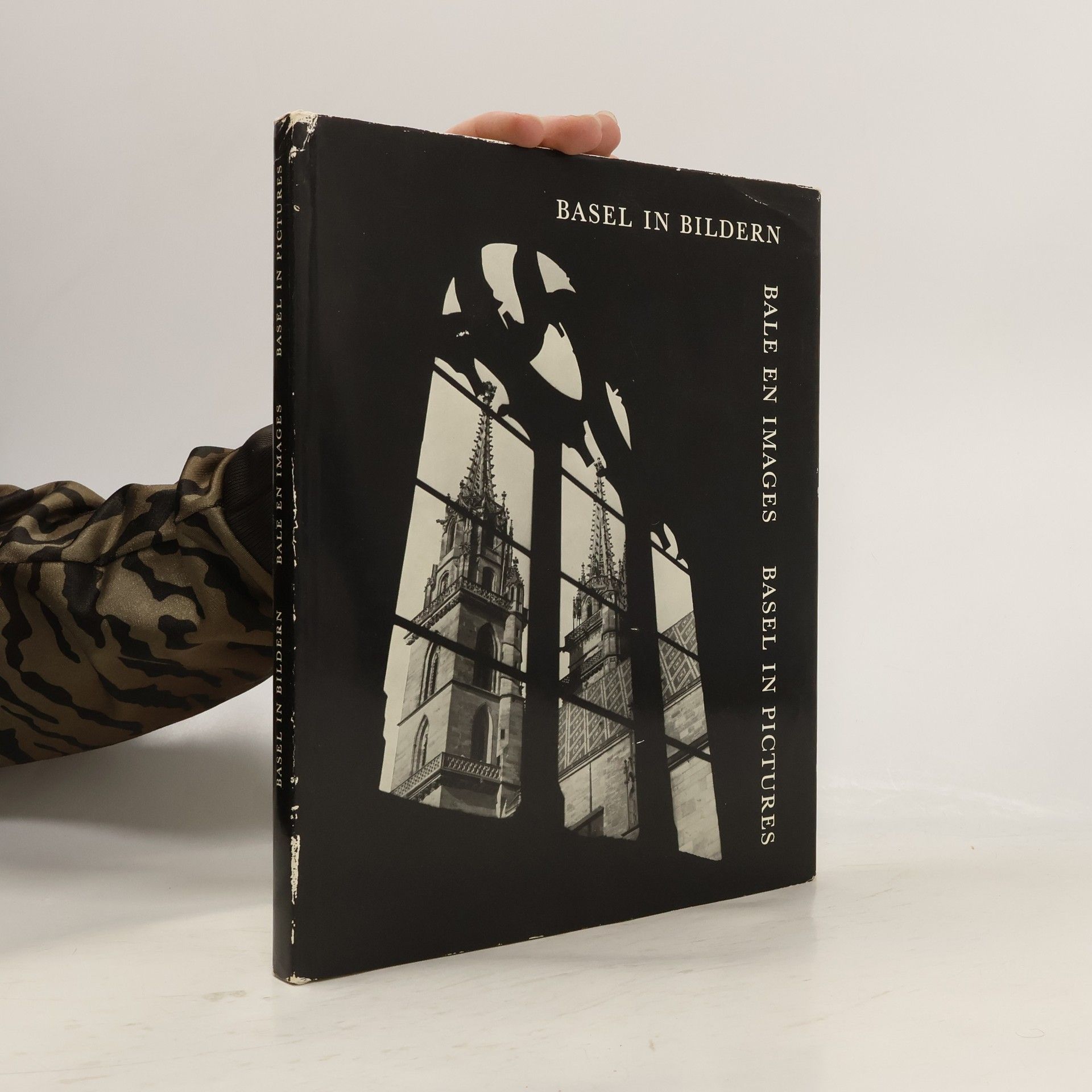 Kolektív autorov Basel in Bildern. Bale en Images. Basel in Pictures
