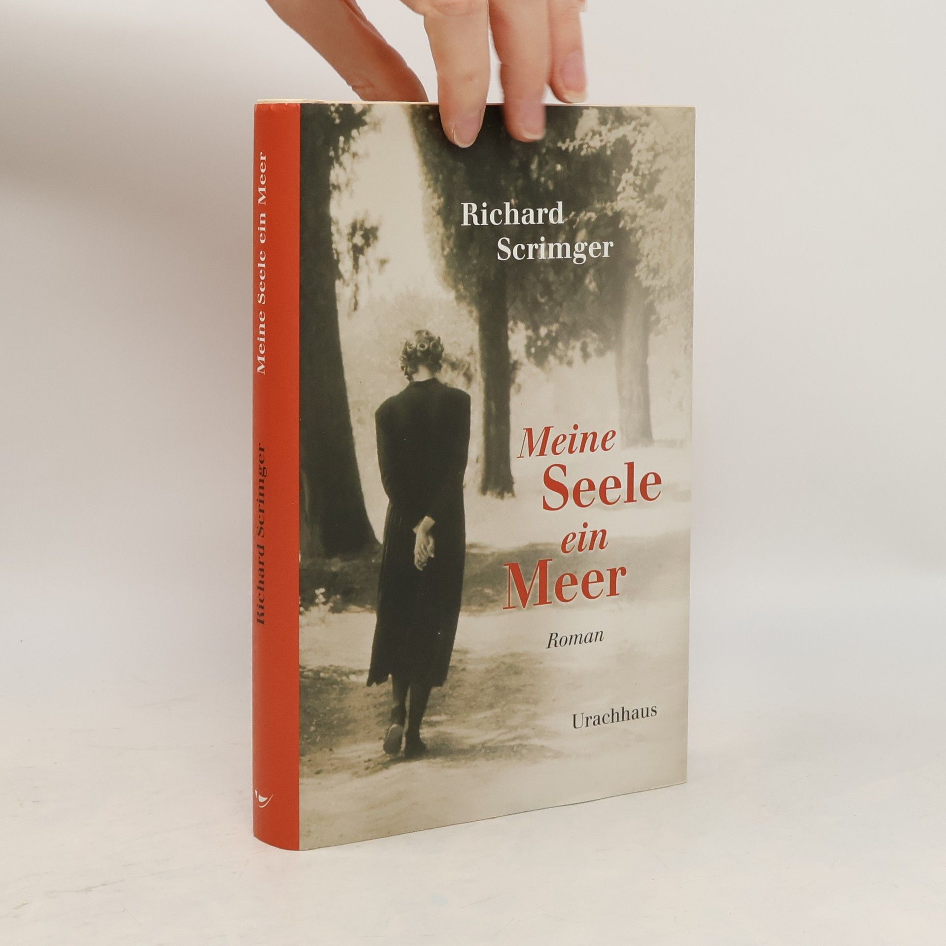 Richard Scrimger Meine Seele ein Meer