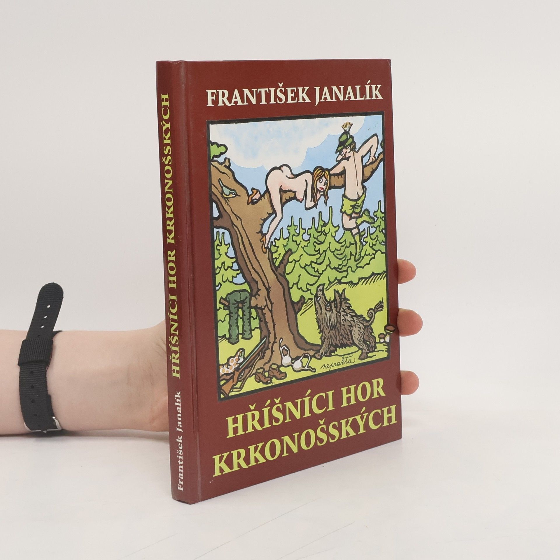 František Janalík Hříšníci hor krkonošských