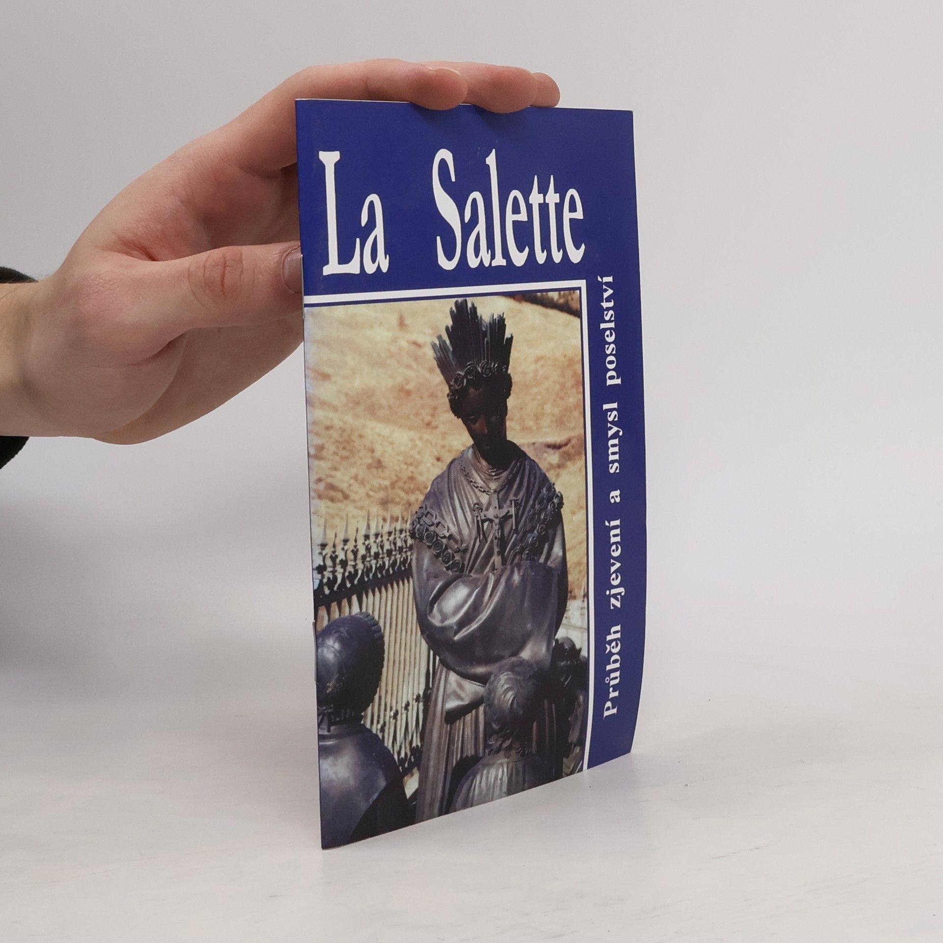 Kolektiv autorů La Salette - Průběh zjevení a smysl poselství