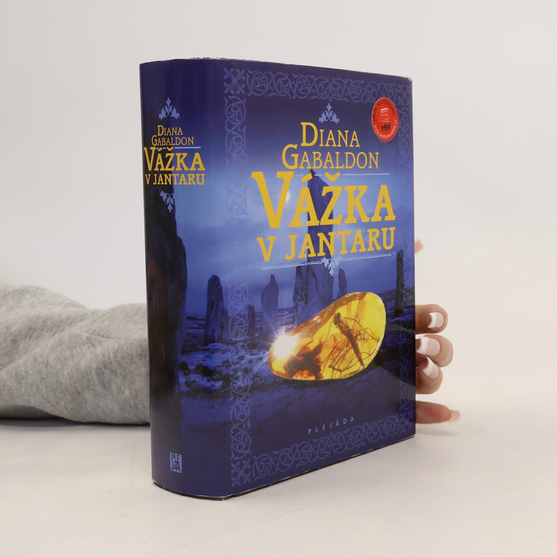 Diana Gabaldon Vážka v jantaru
