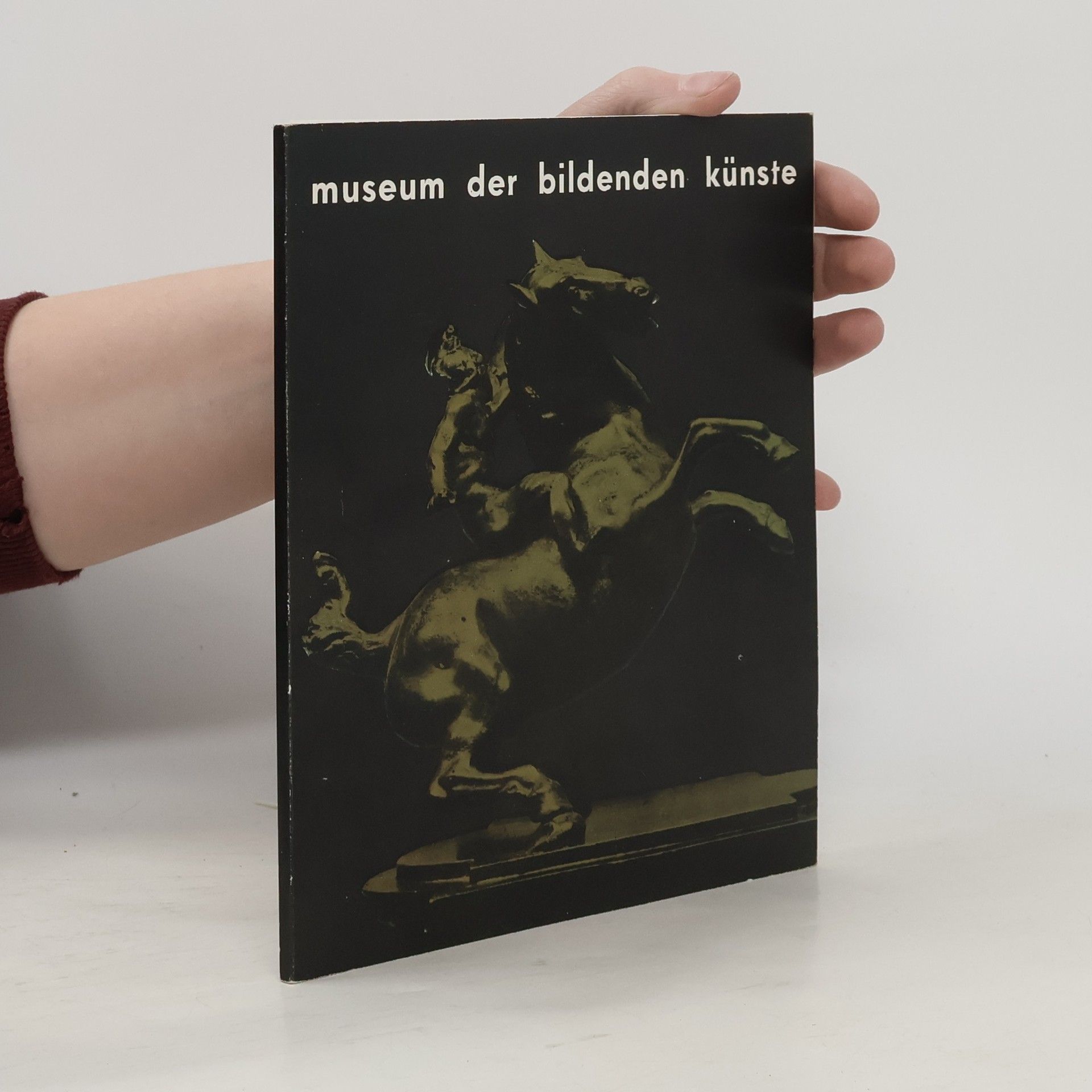 Führer durch die Sammlungen des Museums der Bildenden Künste