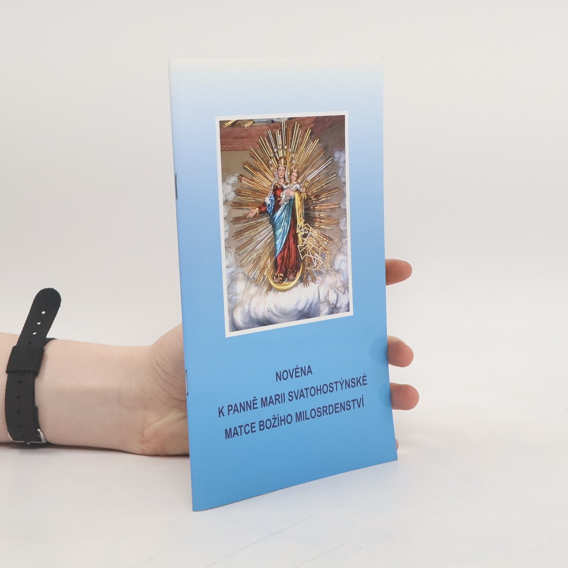 Various authors Novéna k Panně Marii svatohostýnské matce božího milosrdenství