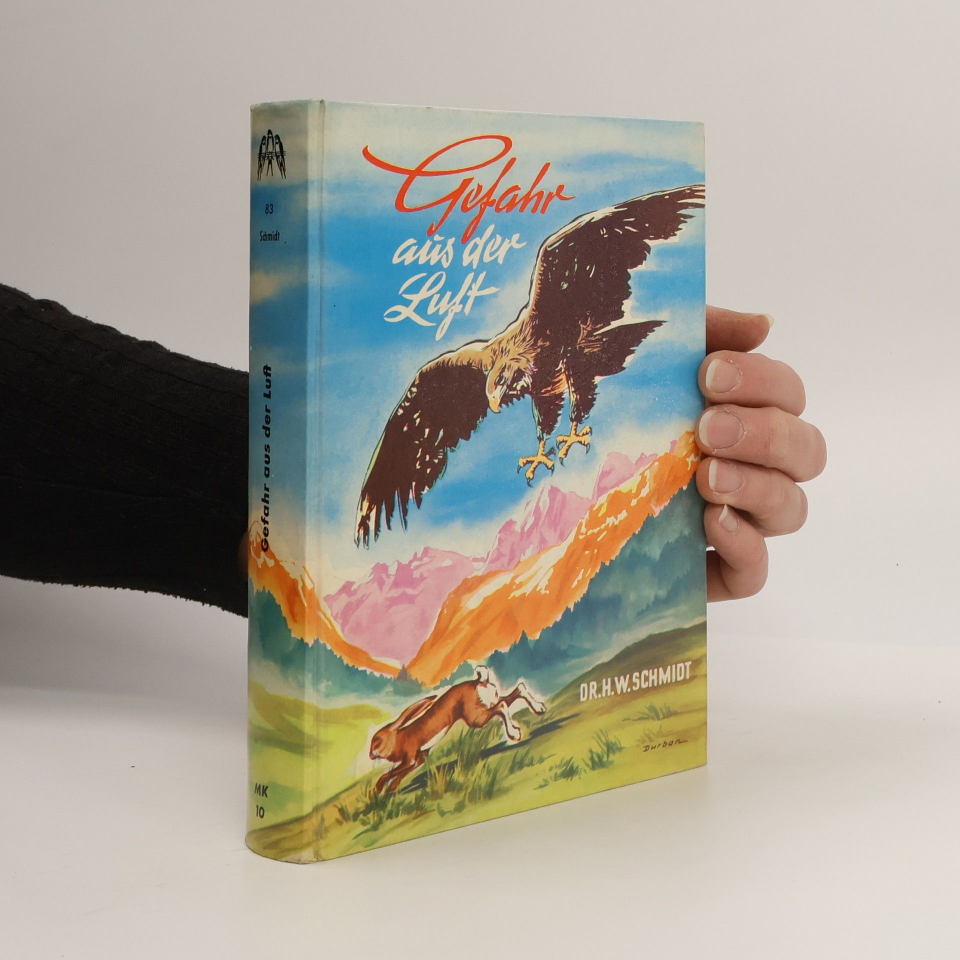 Hans-Walter Schmidt Gefahr aus der Luft