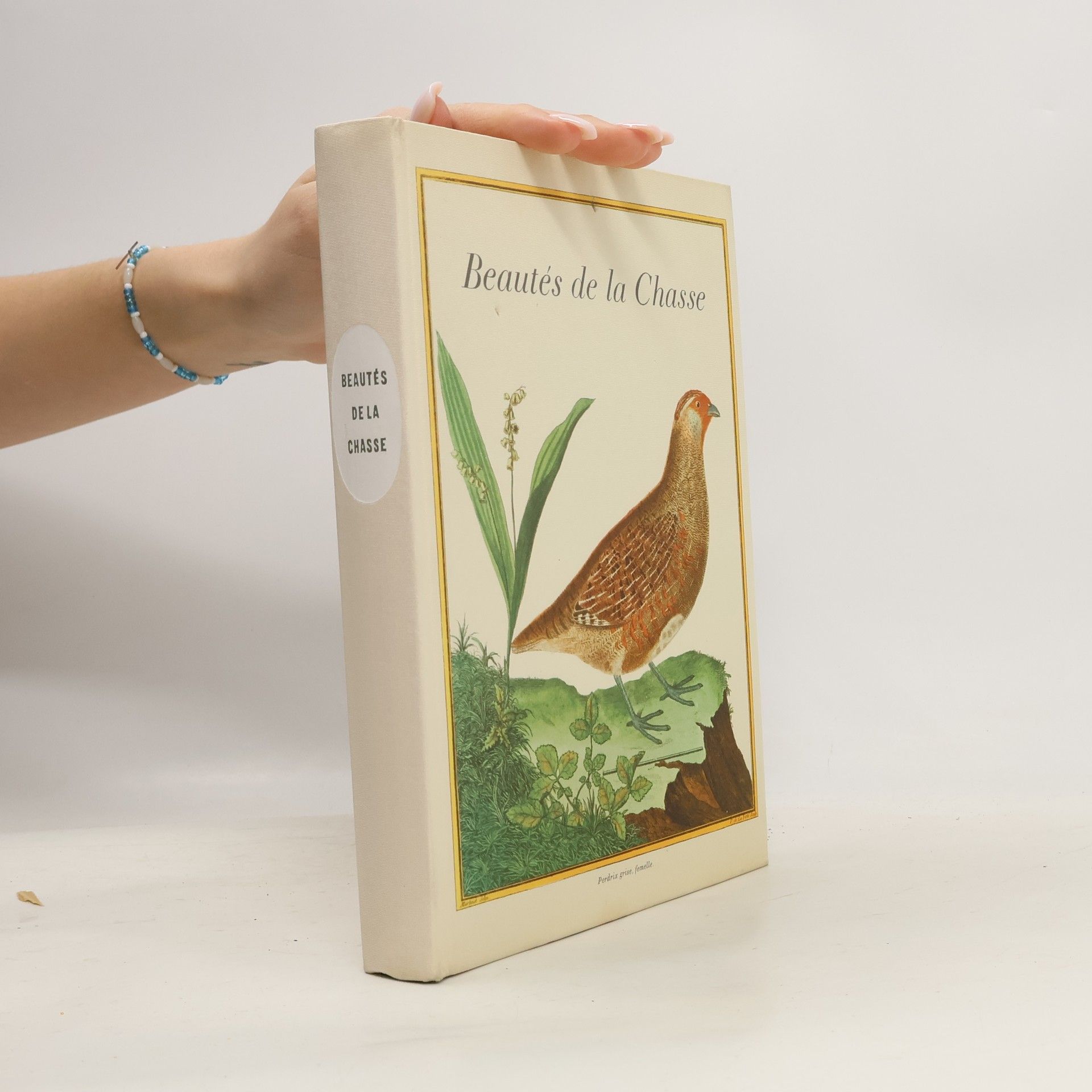 Various authors Beautés de la Chasse