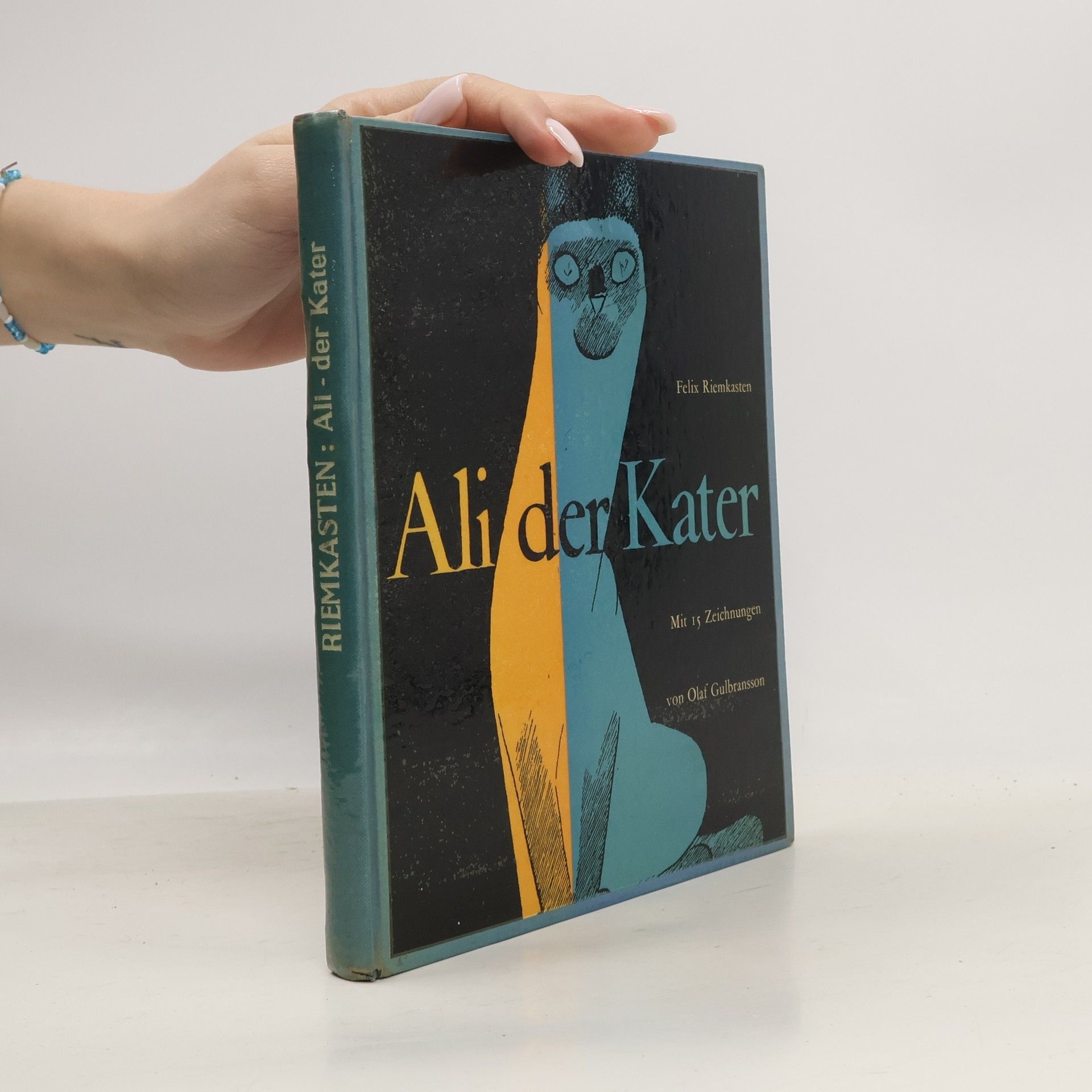 Felix Riemkasten Ali – der Kater