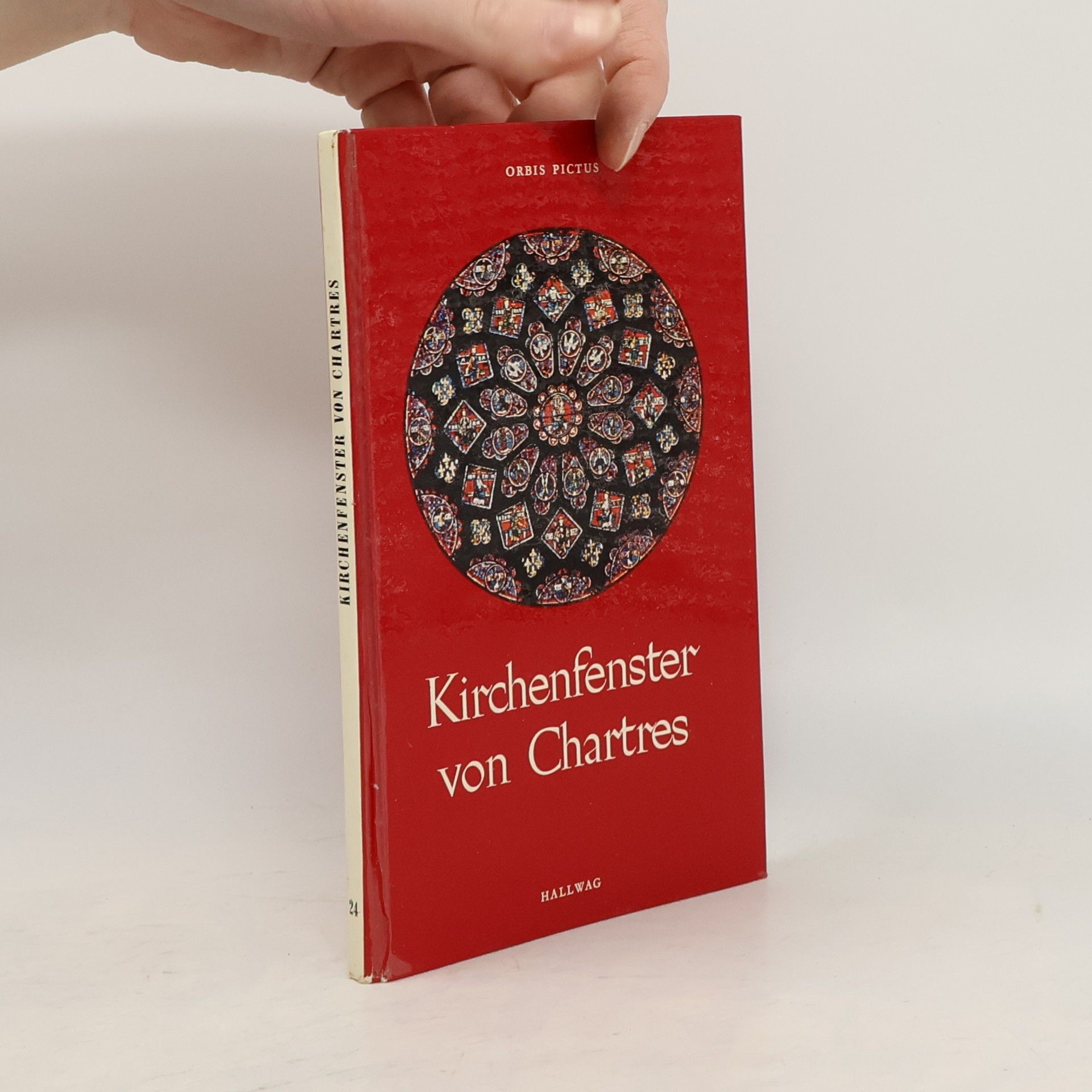 Orbis Fictus Kirchenfenster von Chartres