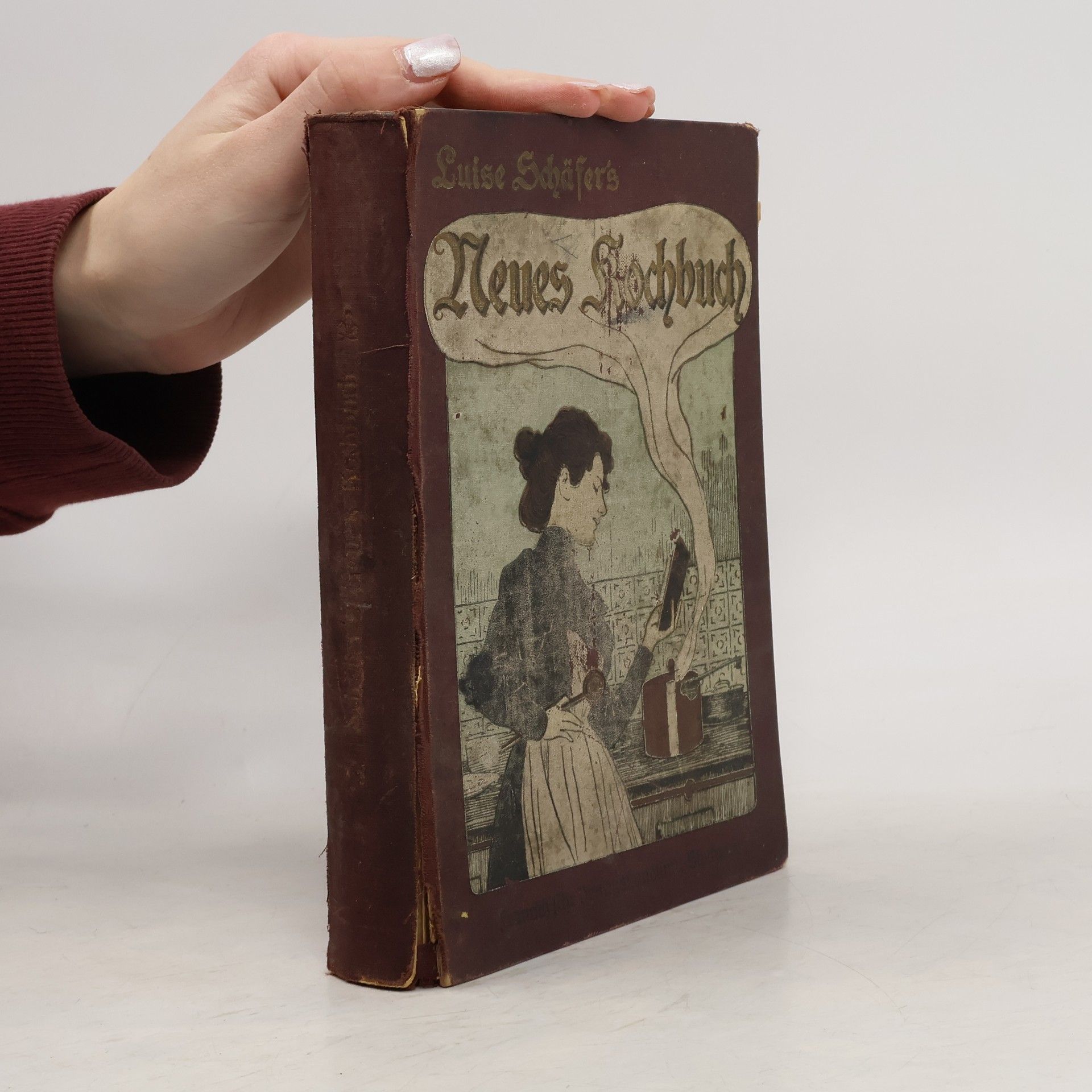 Luise Schäfer Neues Kochbuch