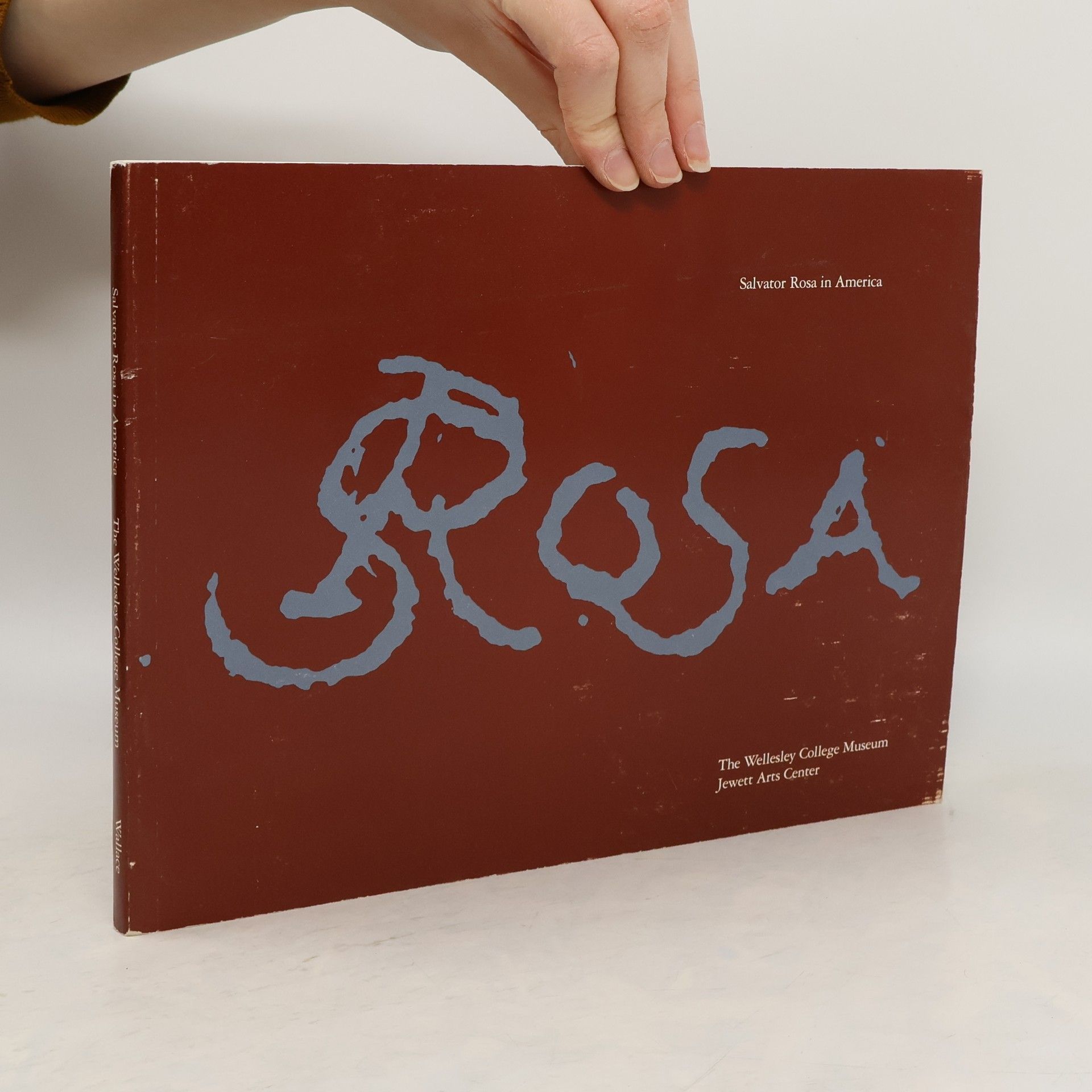 AA.VV. Salvator Rosa in America