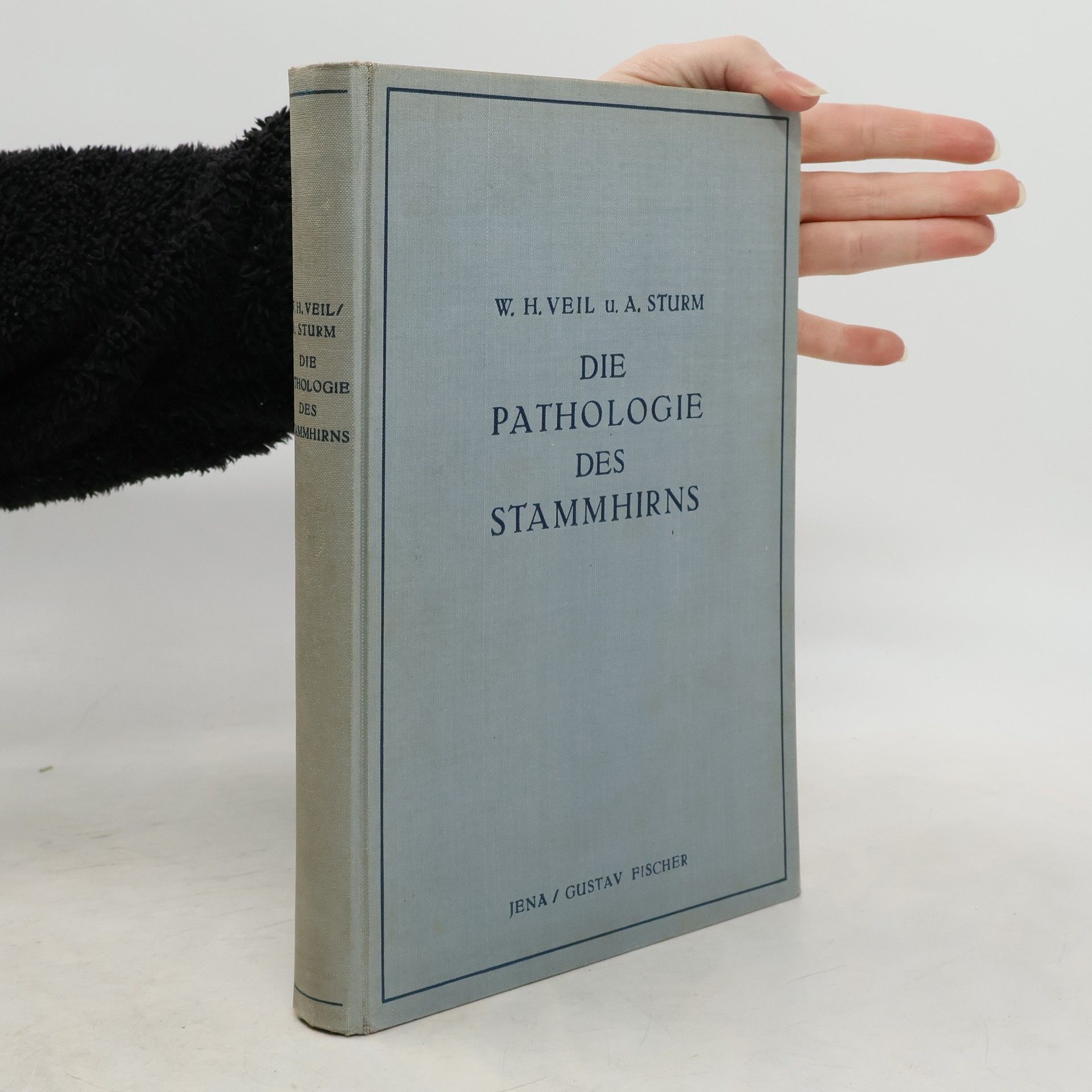 Alexander Sturm Die Pathologie des Stammhirns
