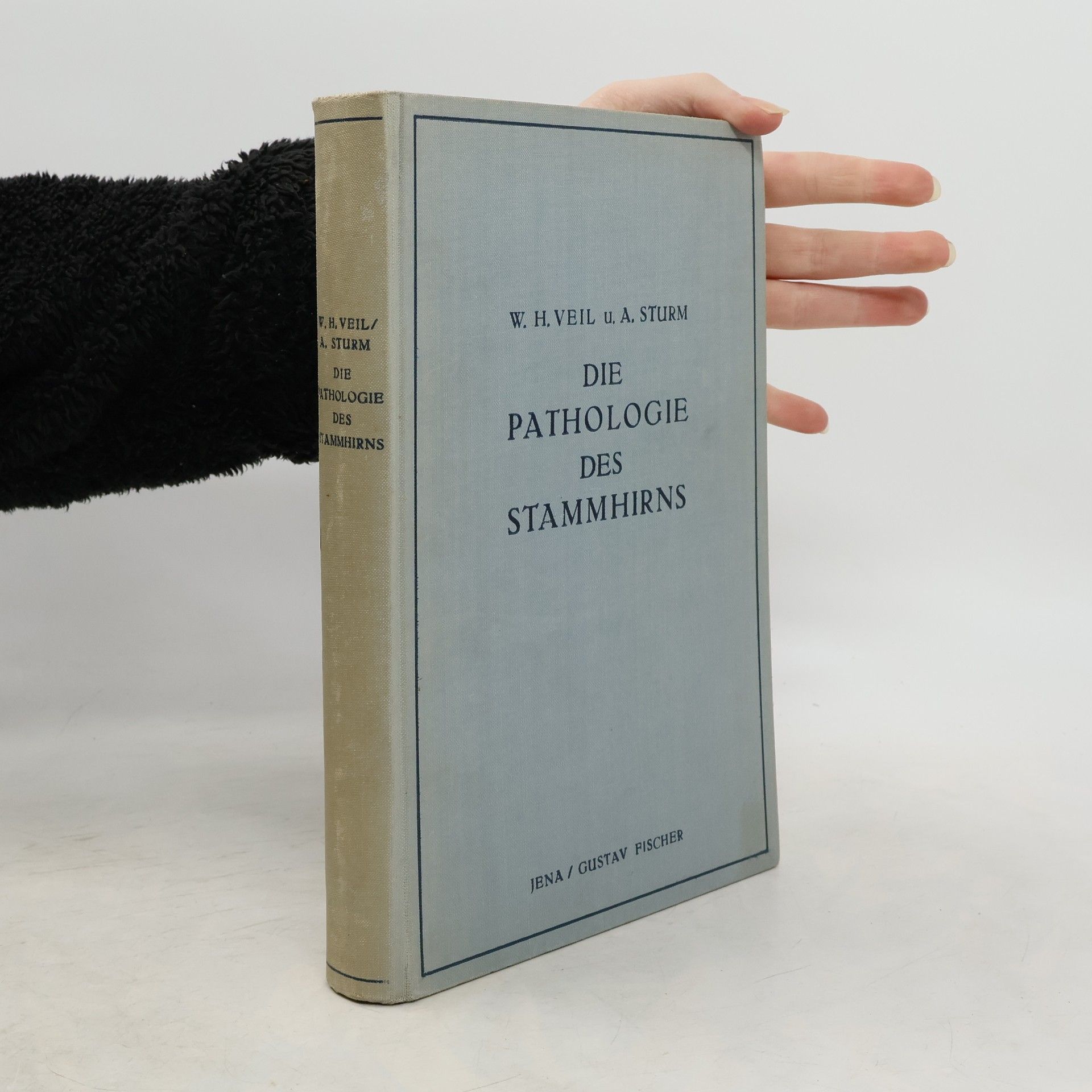 Wolfgang H. Veil Die Pathologie des Stammhirns