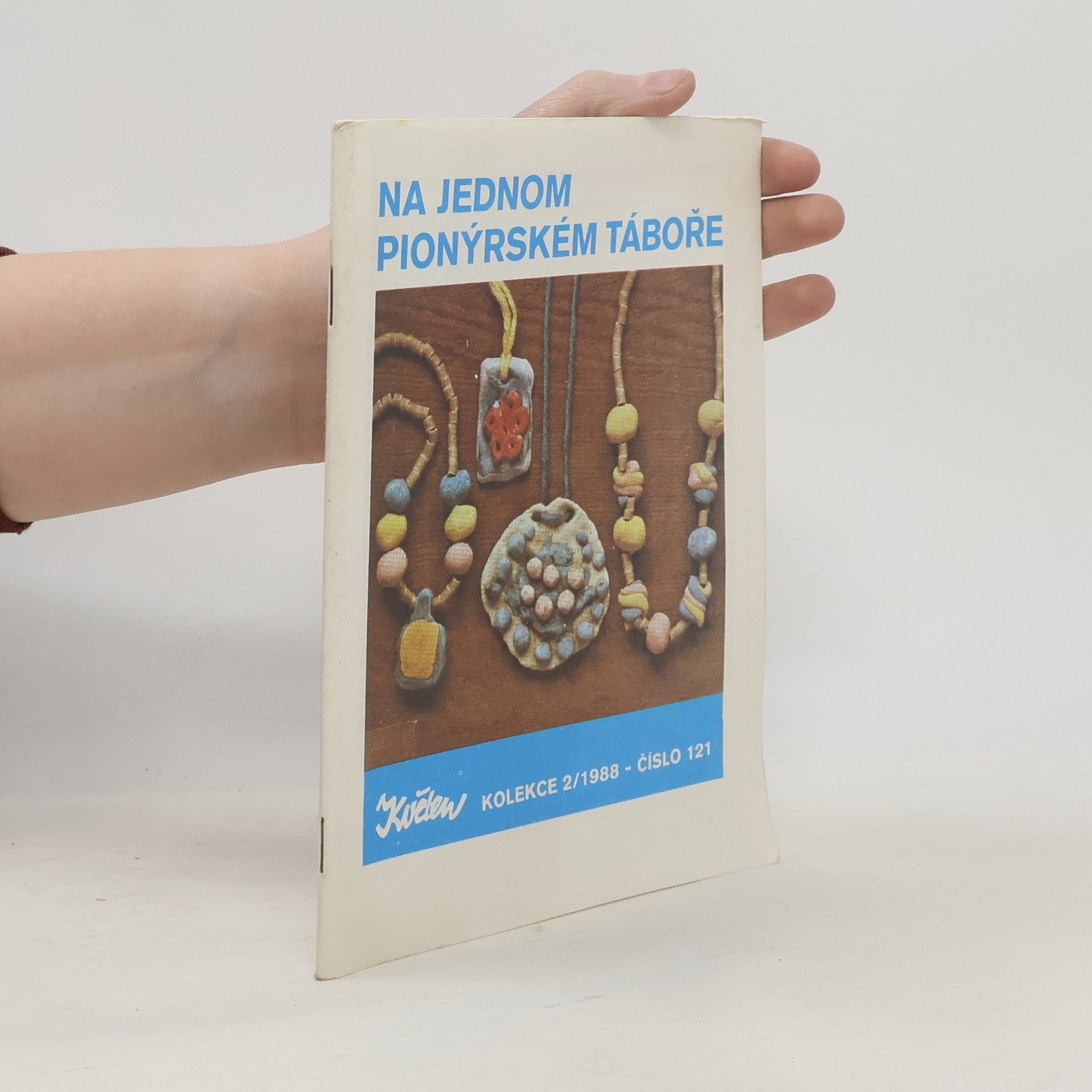 Danuše Přibylová Na jednom pionýrském táboře