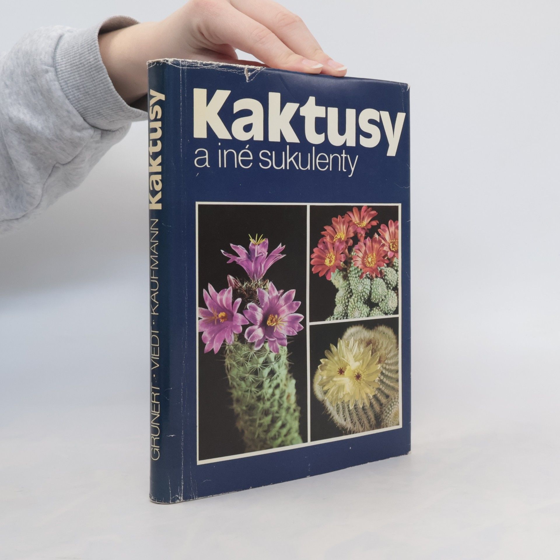 Kaktusy a iné sukulenty