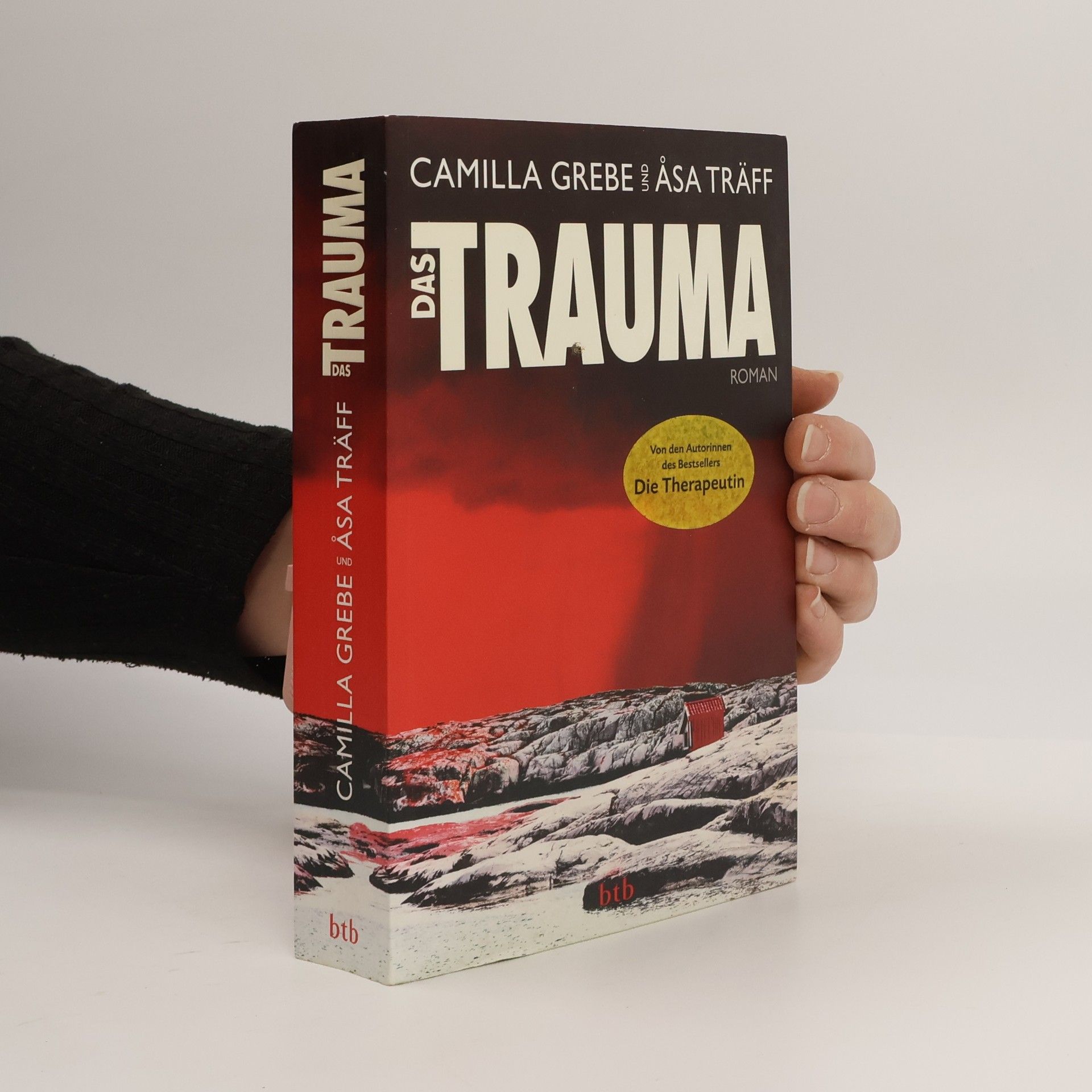 Camilla Grebe Das Trauma