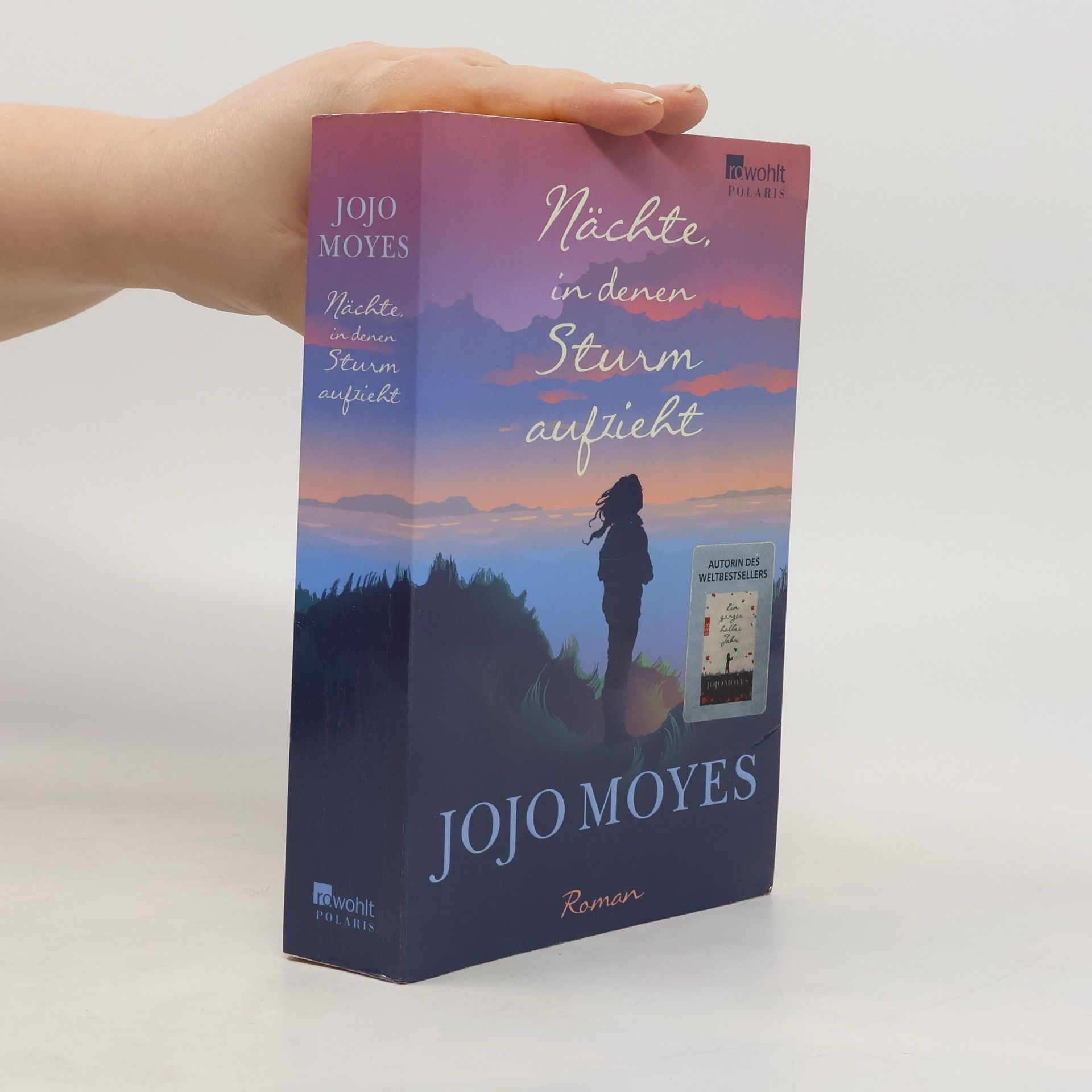 Jojo Moyes Nächte in denen Sturm aufzieht