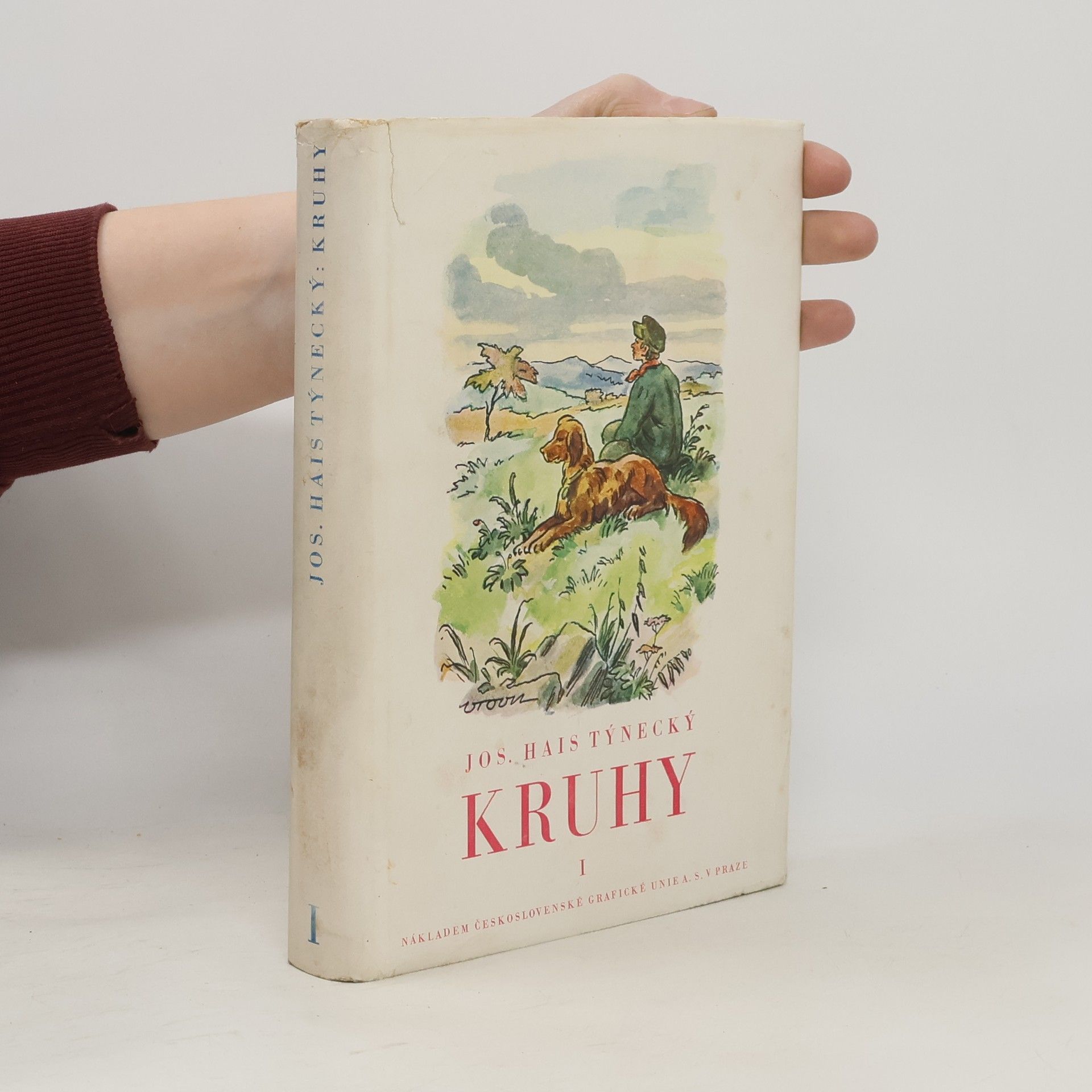 Josef Hais Týnecký Kruhy 1