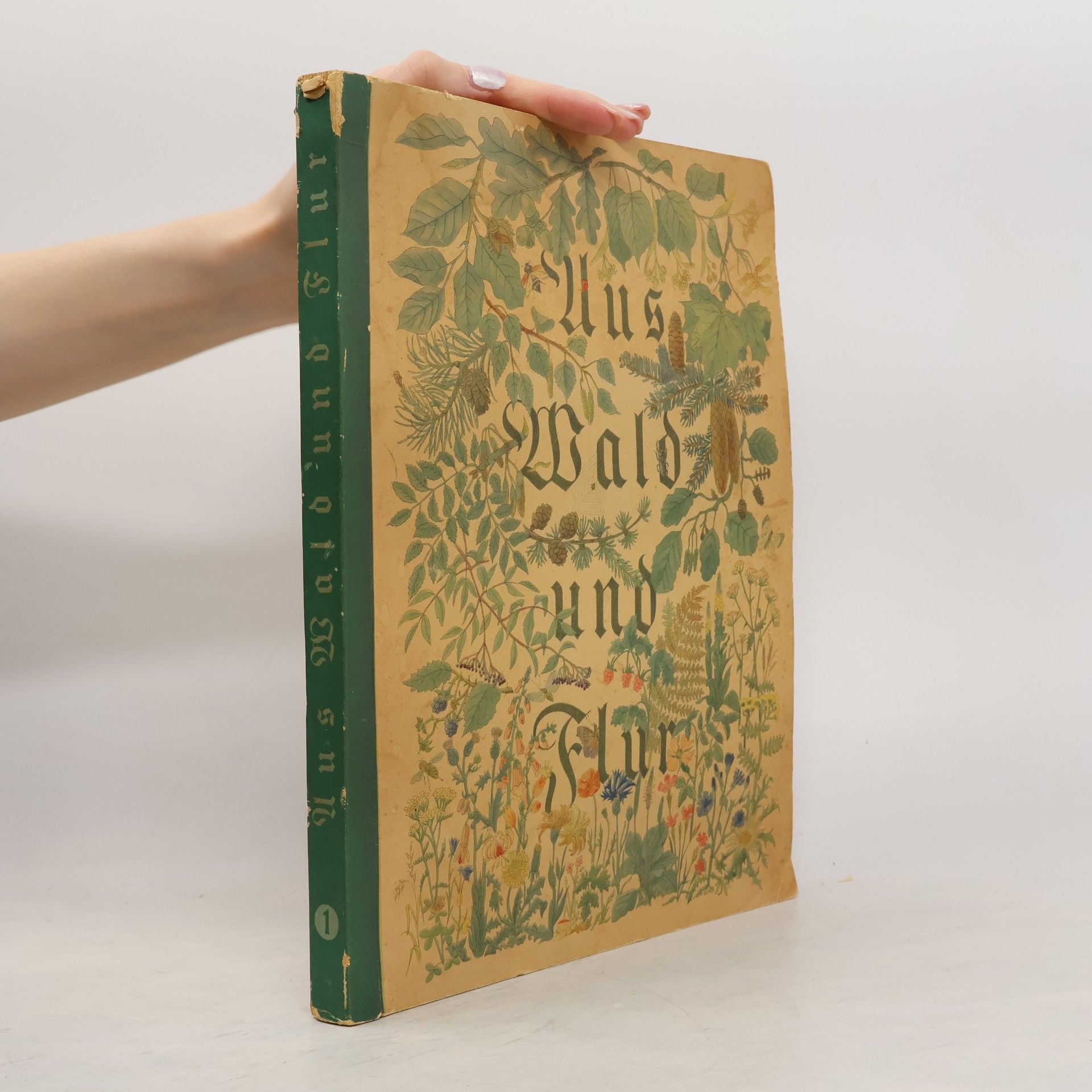 Walter Nöldner Aus Wald und Flur