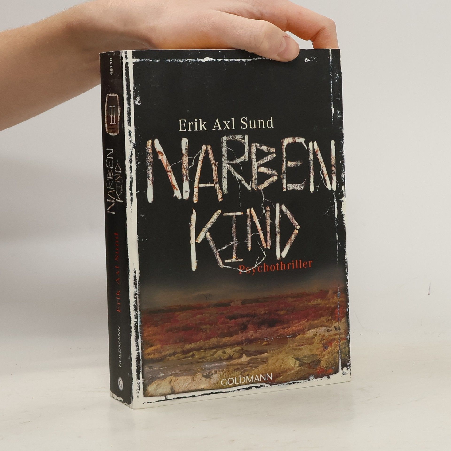 Erik Axl Sund Narbenkind