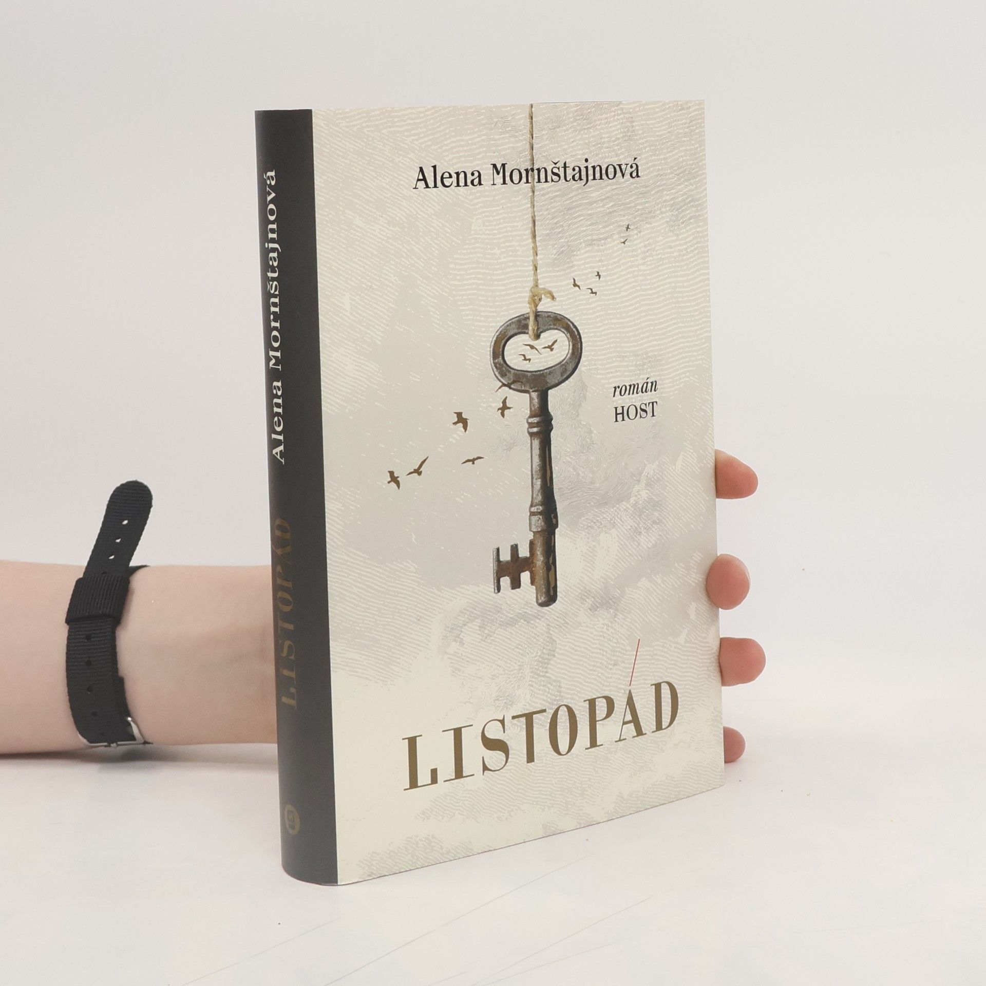 Alena Mornštajnová Listopád