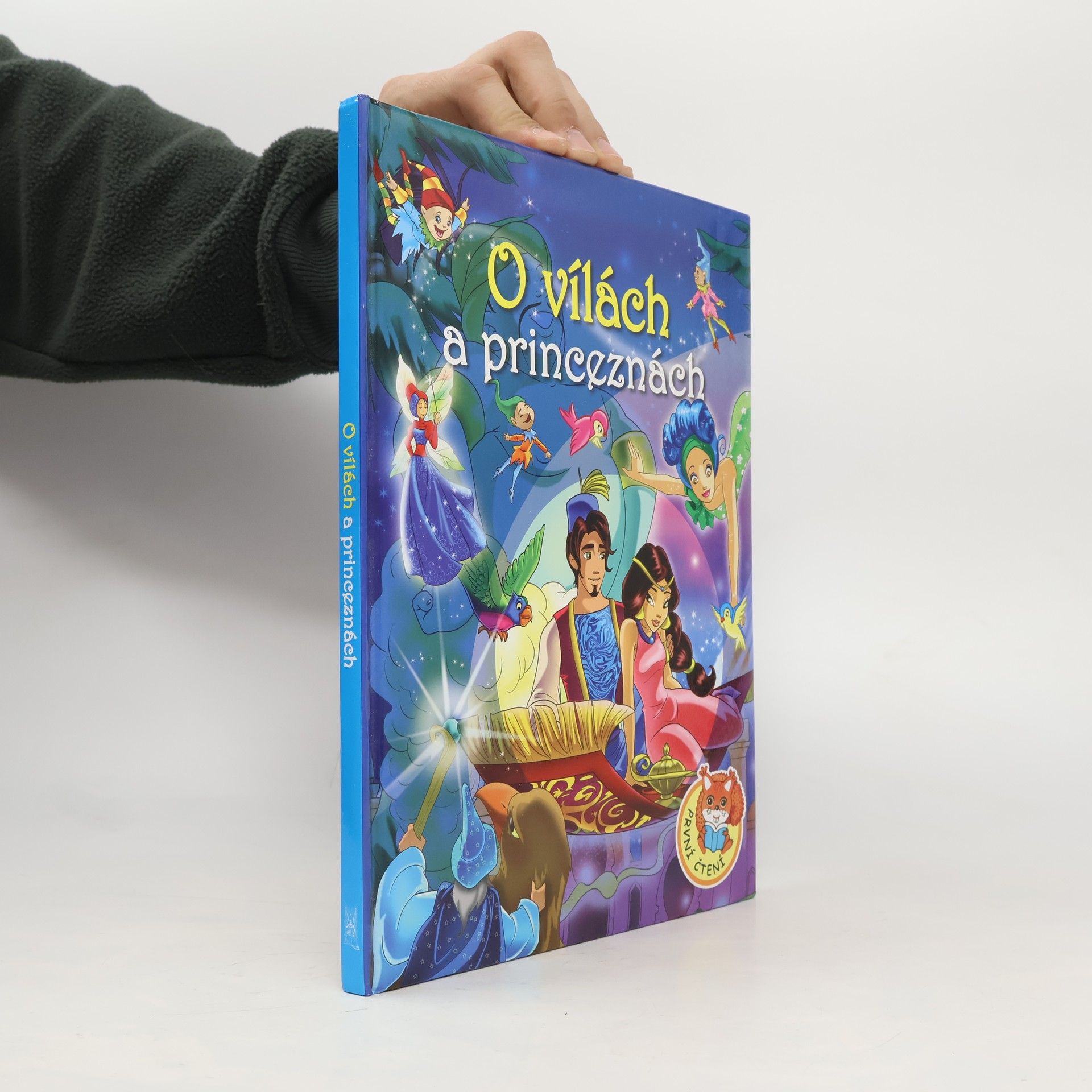 Autorenkollektiv O vílach a princeznách