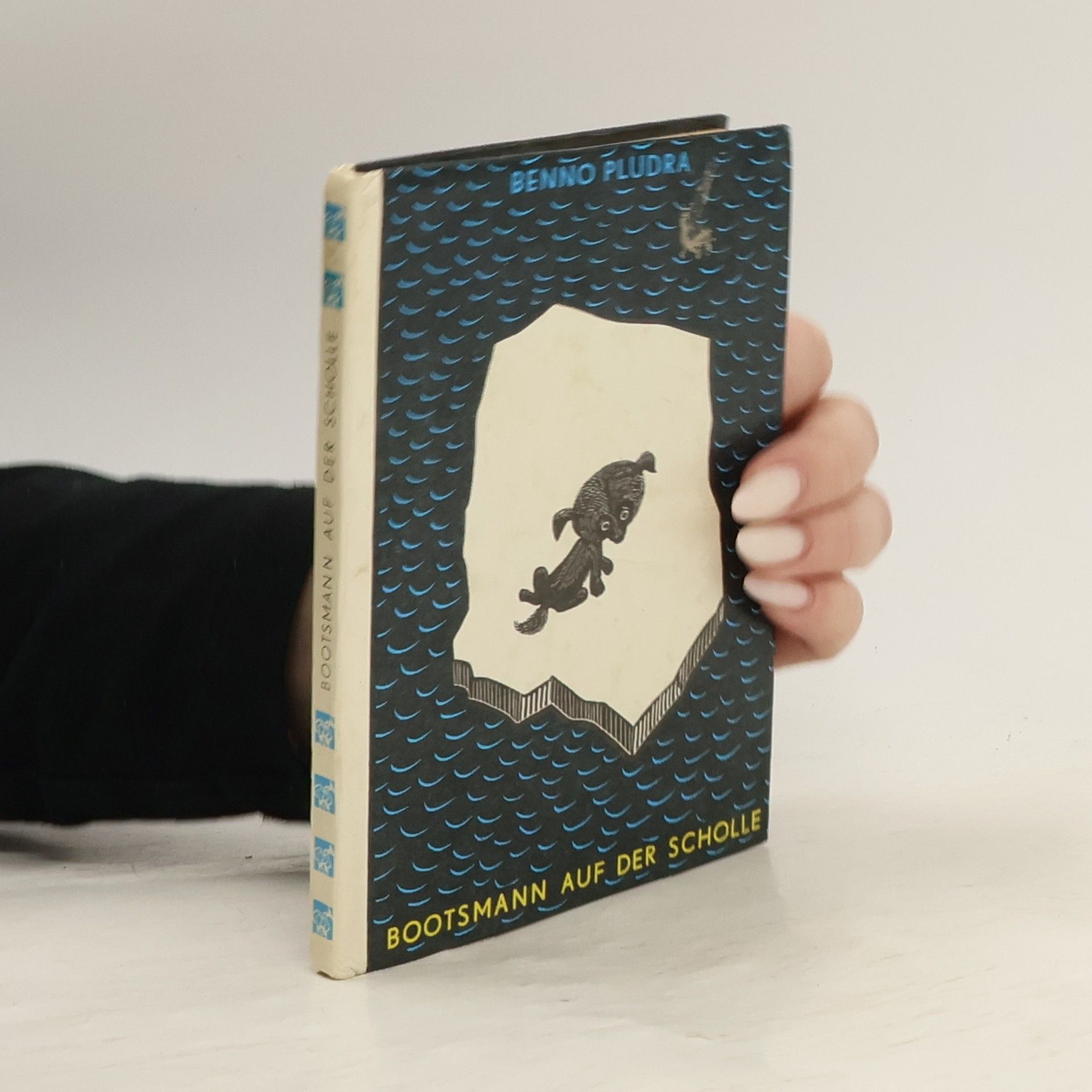 Benno Pludra Bootsmann auf der Scholle