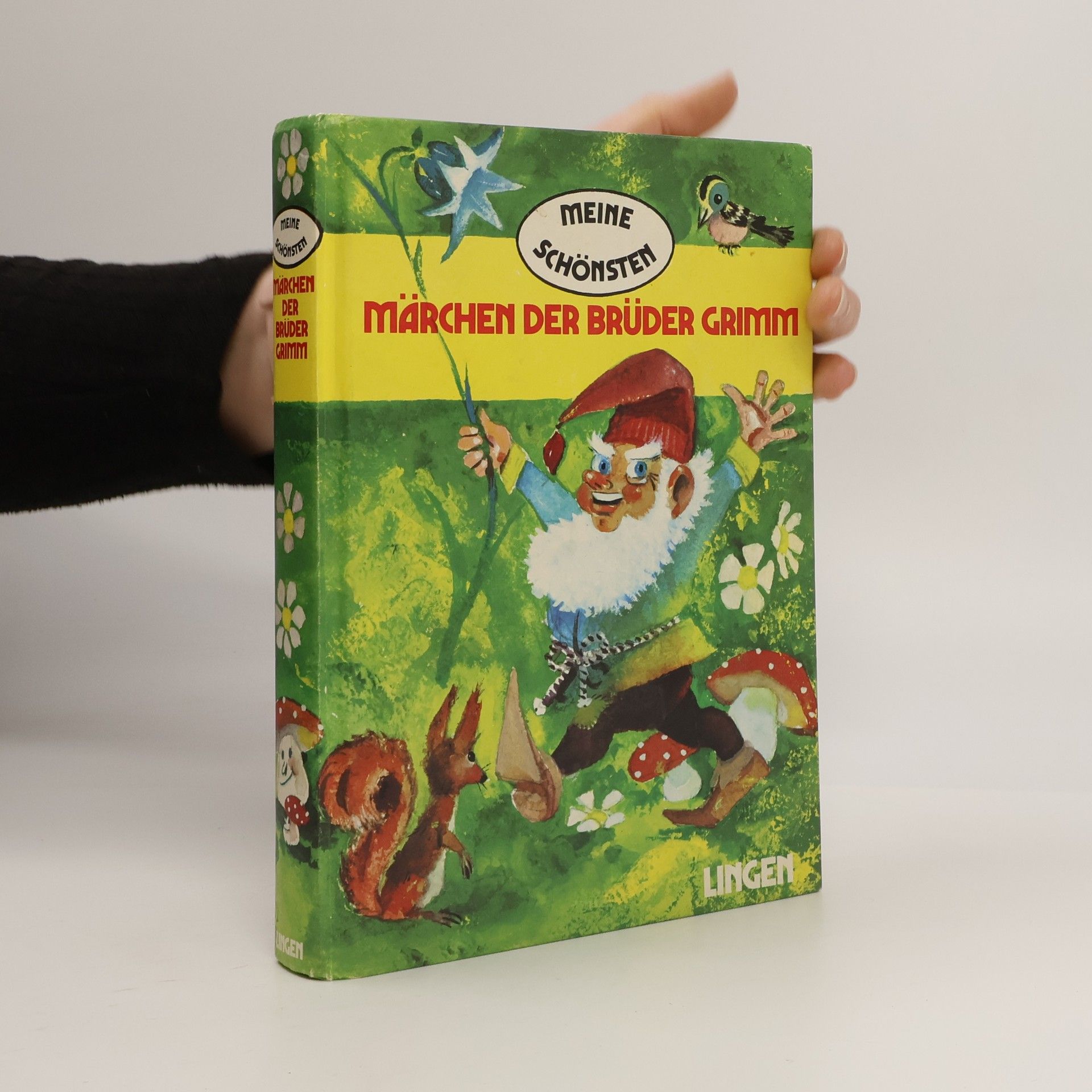 Meine schönsten Märchen der Brüder Grimm