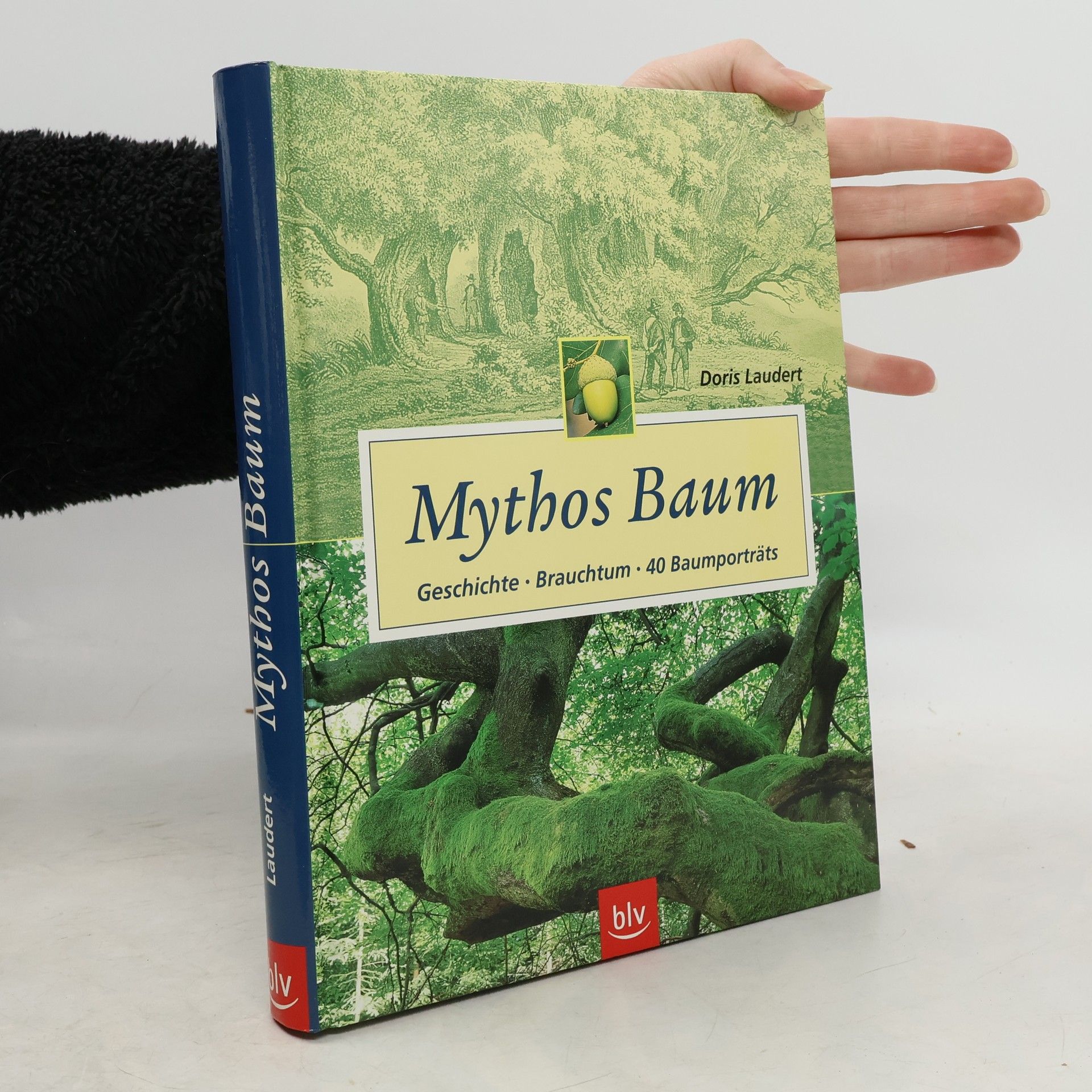 Mythos Baum