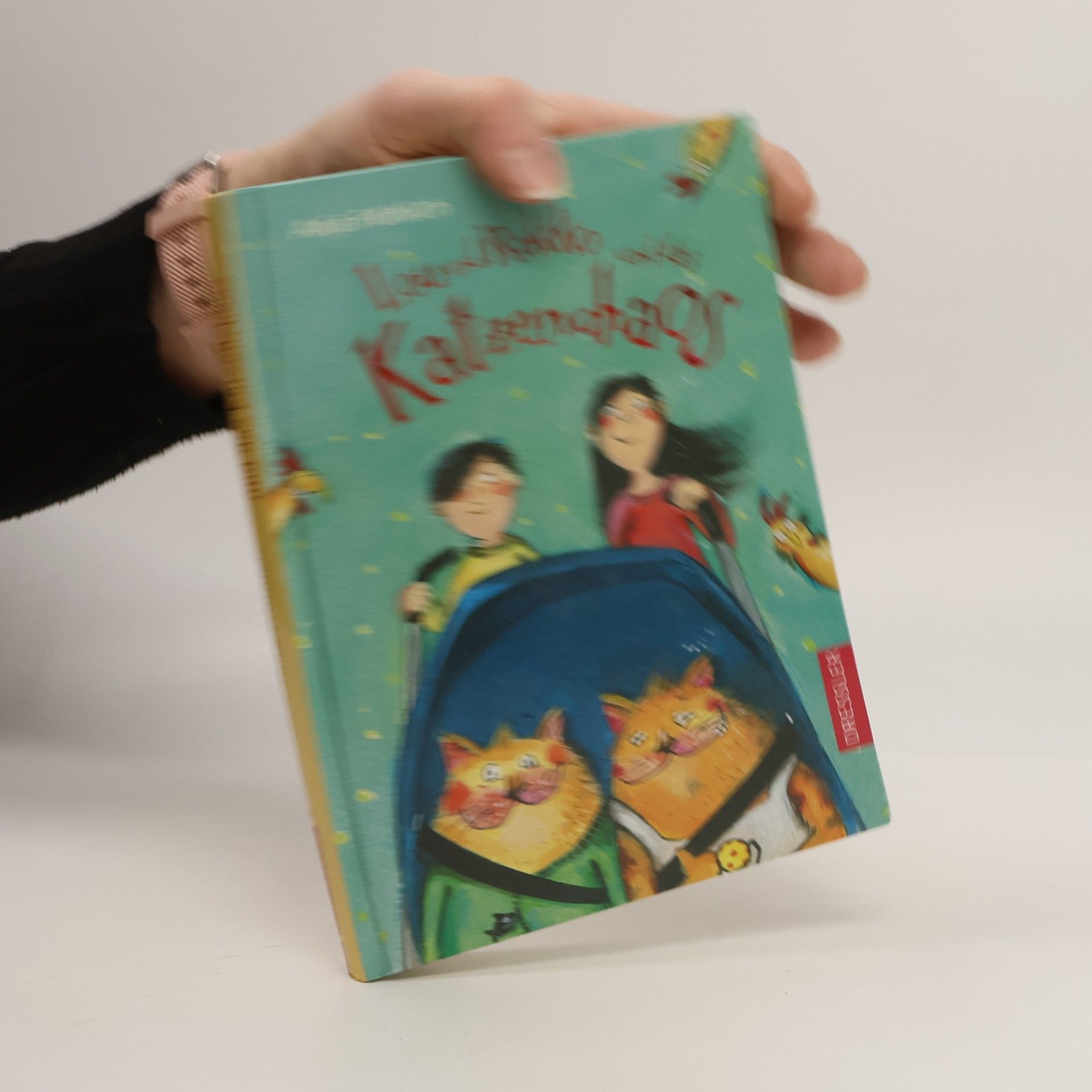 Anja Fröhlich Lou und Rokko und das Katzenchaos