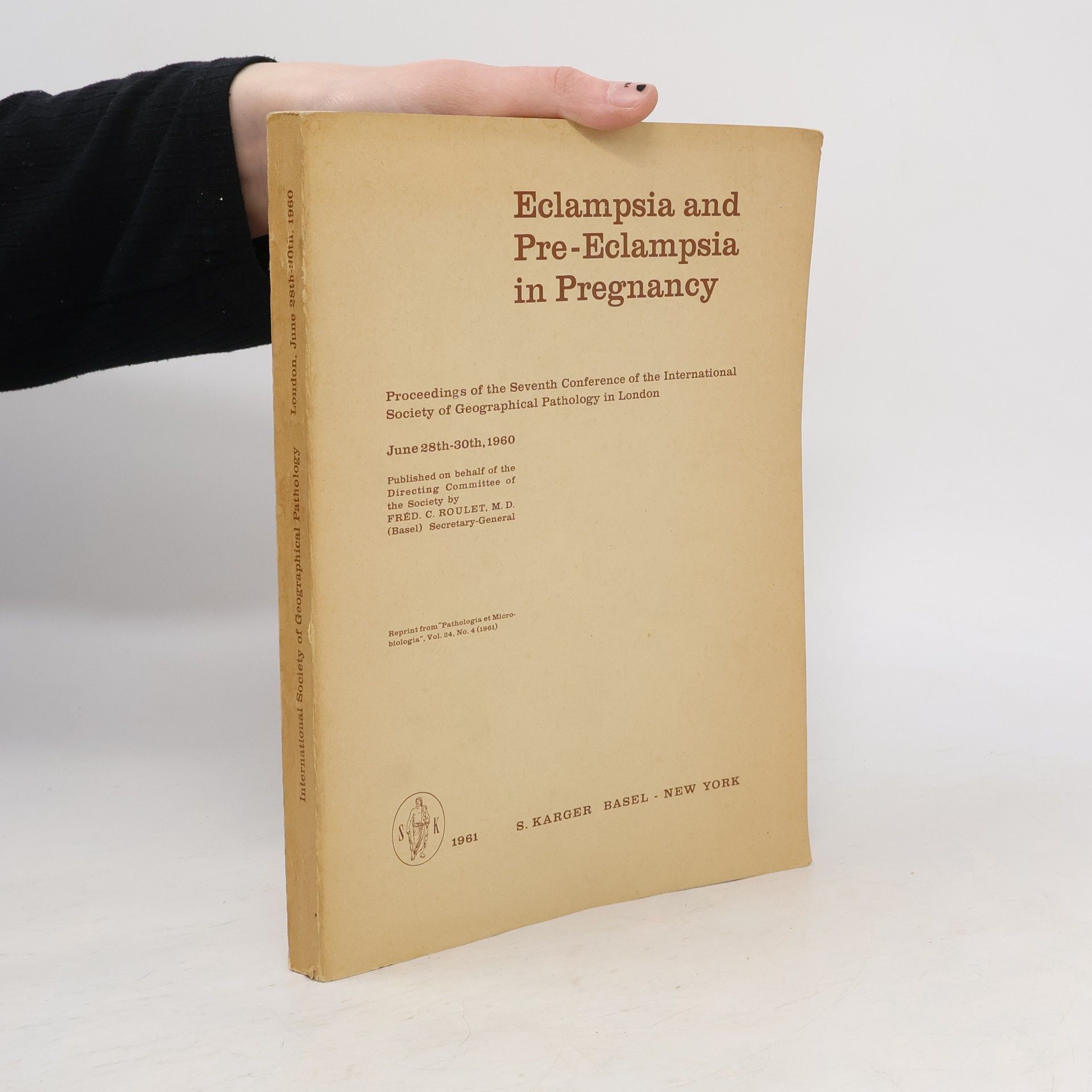 Kolektiv autorů Eclampsia and Pre-Eclampsia in Pregnancy