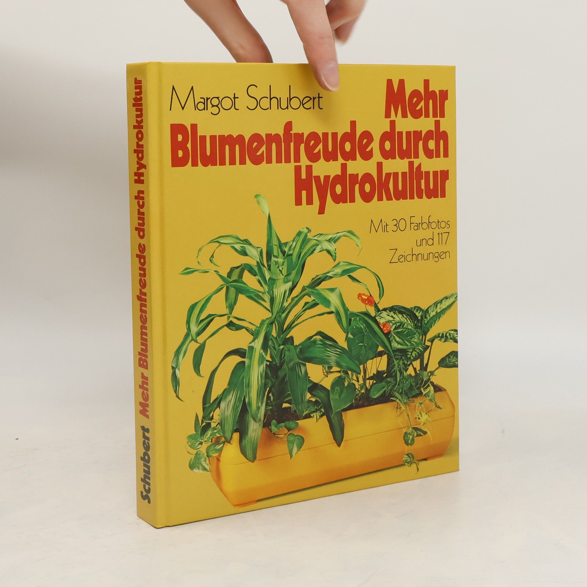 Margot Schubert Mehr Blumenfreude durch Hydrokultur