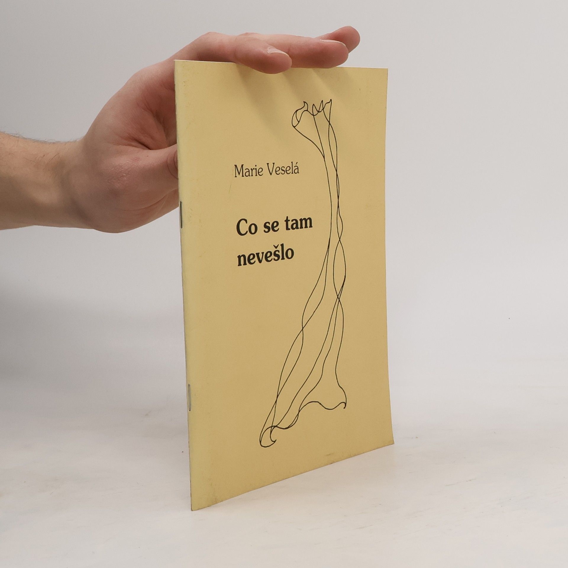 Marie Veselá Co se tam nevešlo
