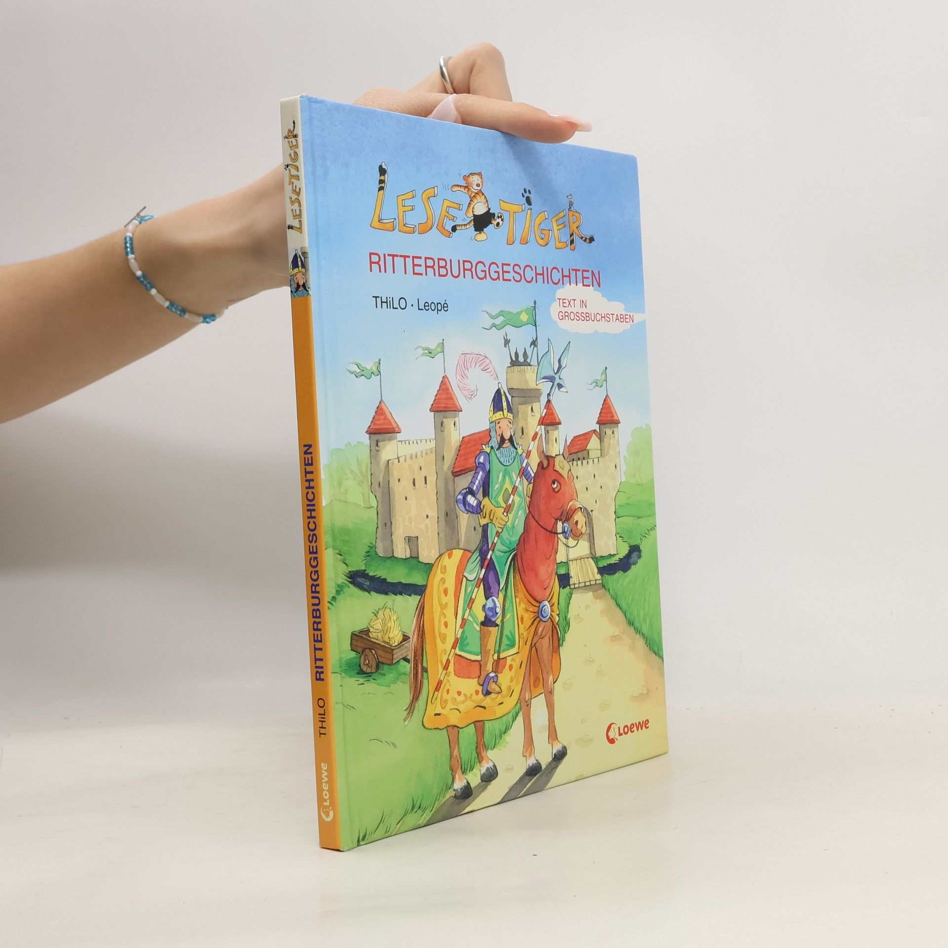 Thilo Petry-Lassak Lesetiger-Ritterburggeschichten: Großbuchstabenausgabe