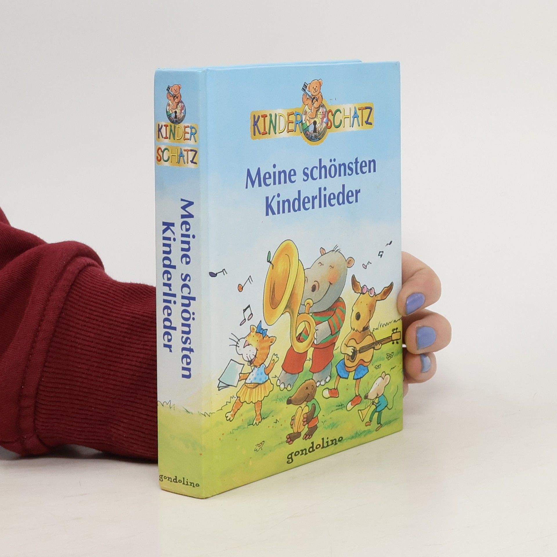 Autorenkollektiv Meine schönsten Kinderlieder