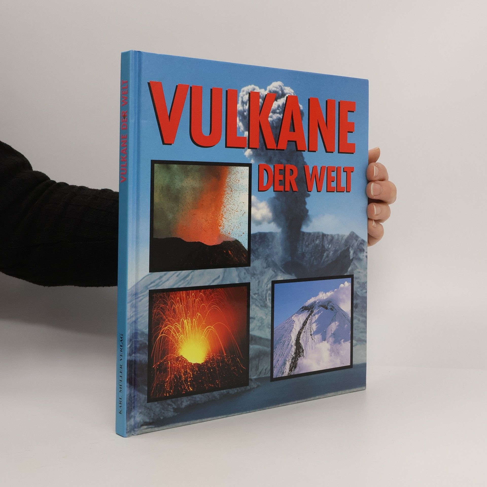 David M. Pyle Vulkane der Welt