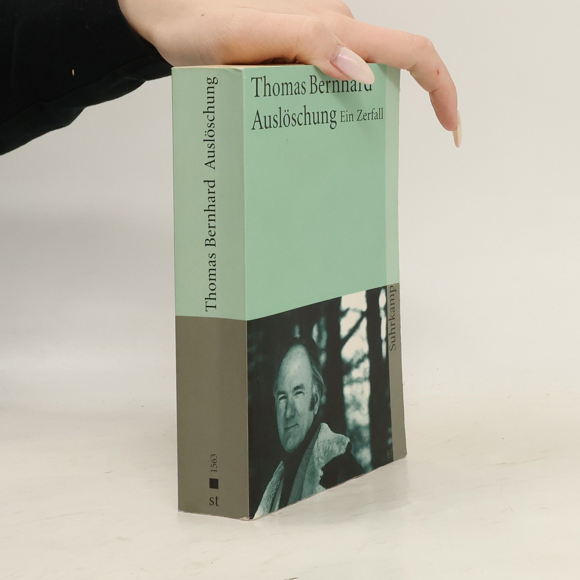 Thomas Bernhard Auslöschlung