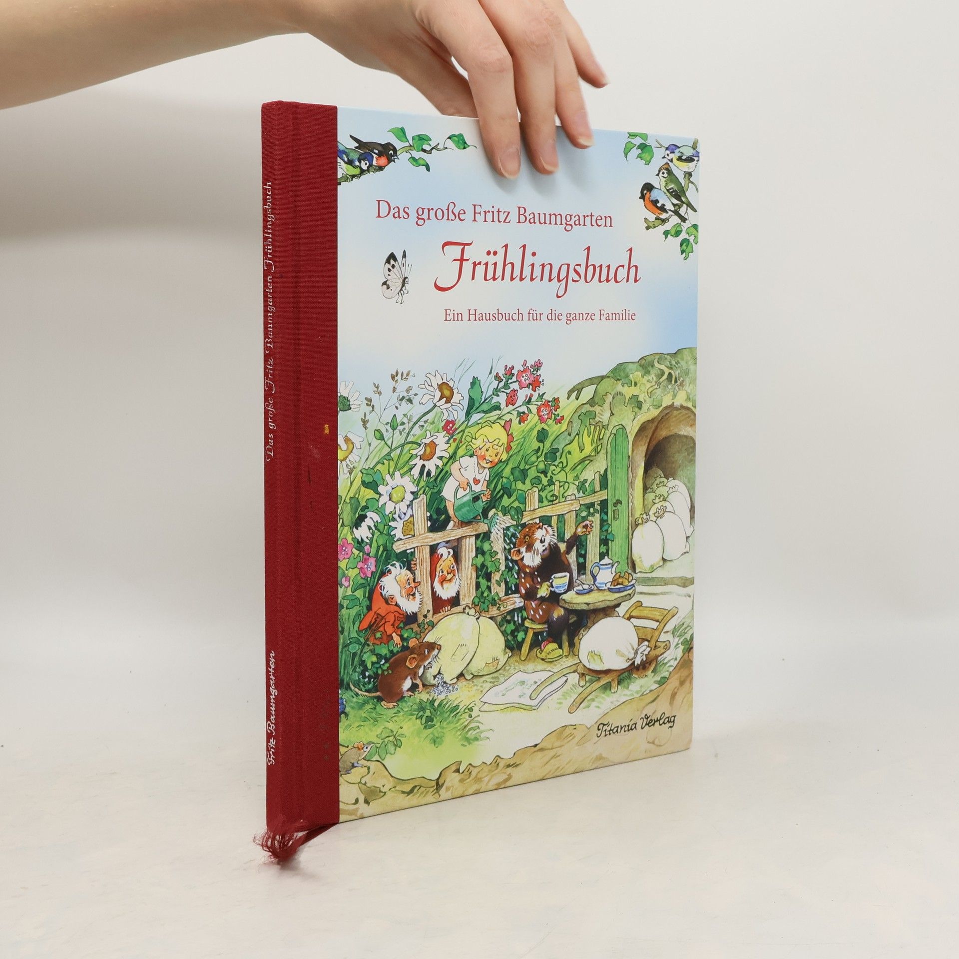 Das große Fritz Baumgarten Frühlingsbuch