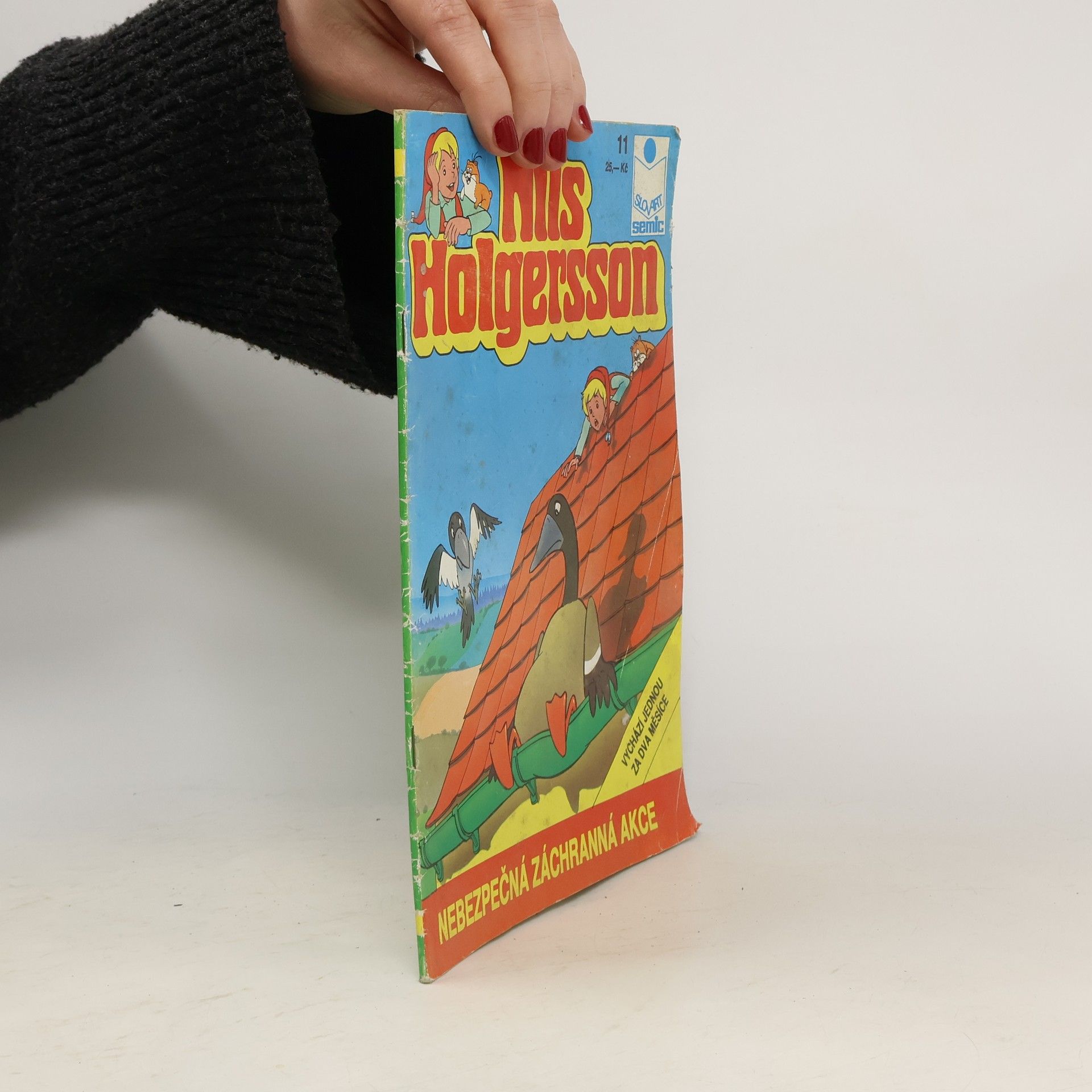 Autorenkollektiv Nils Holgersson