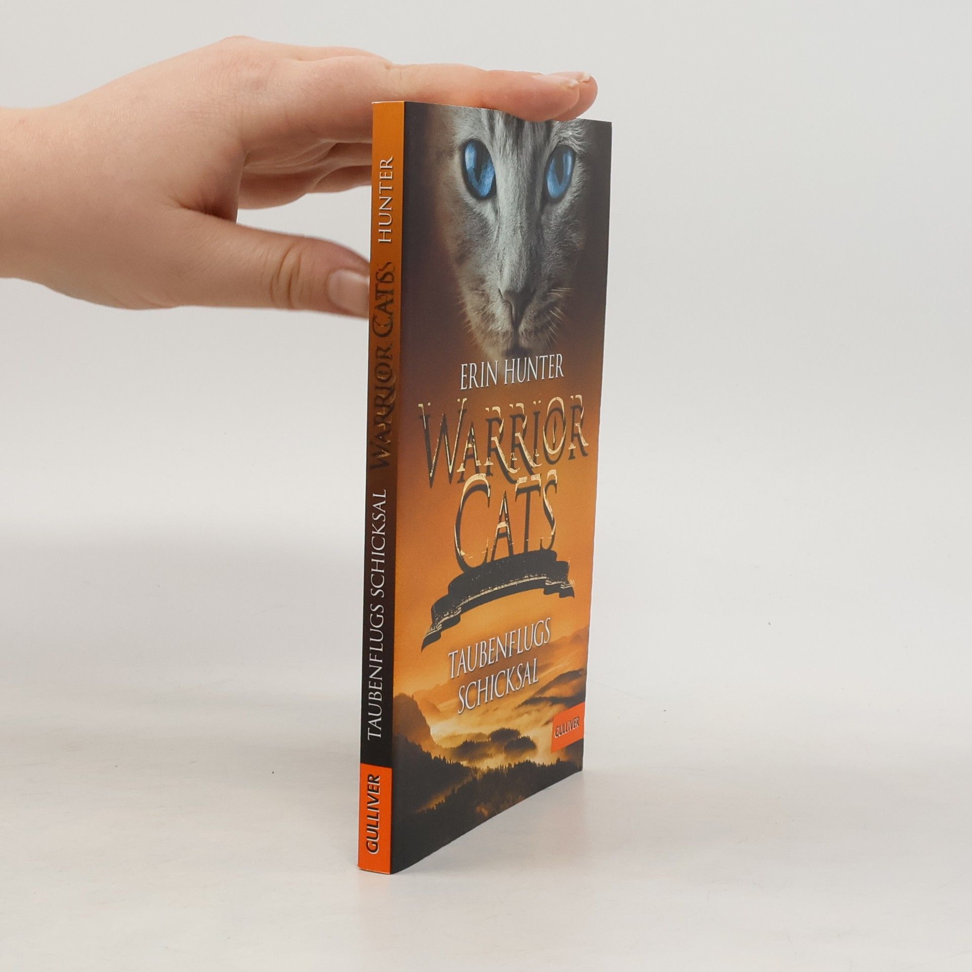 Erin Hunter Taubenflugs Schicksal