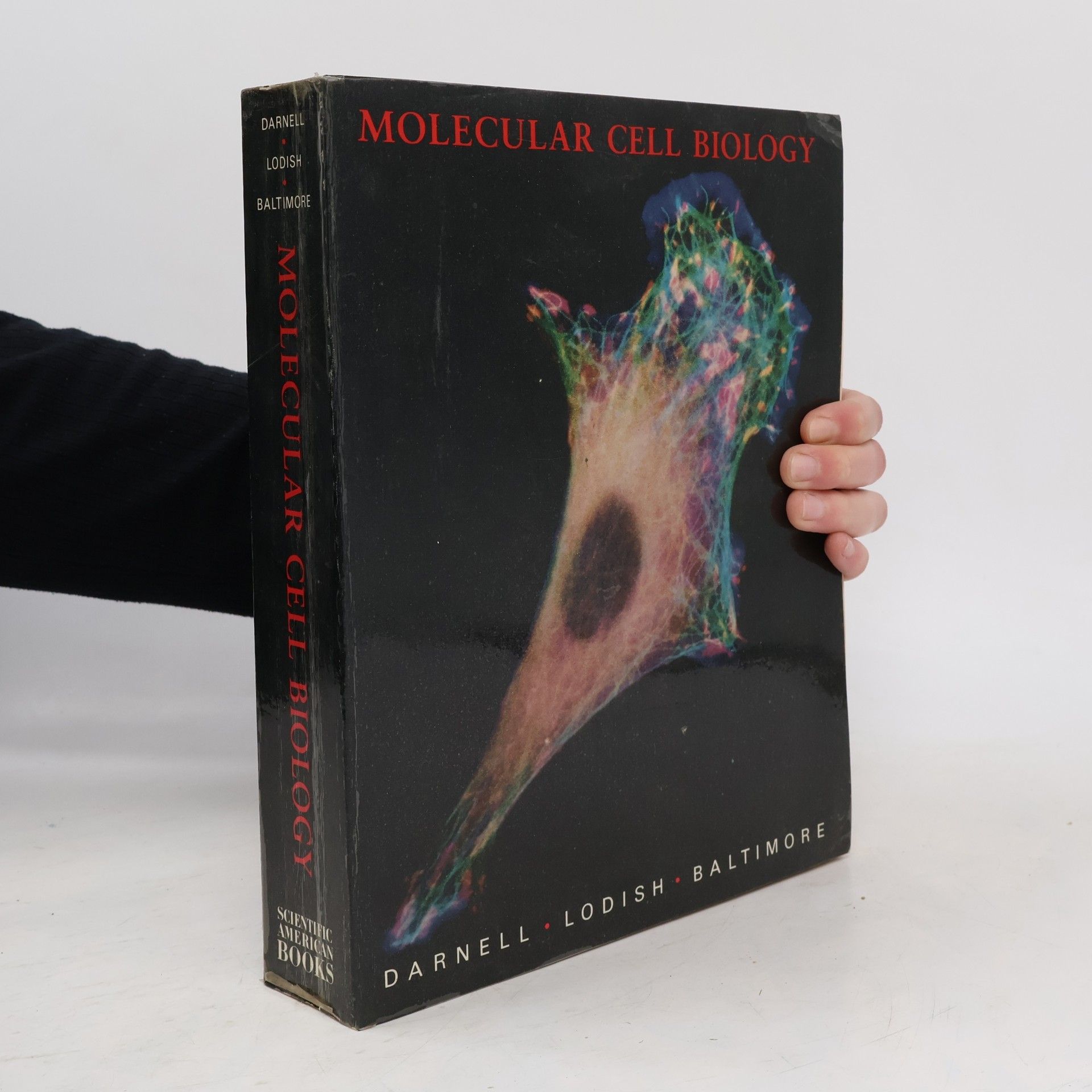 Molecular Cell Biology