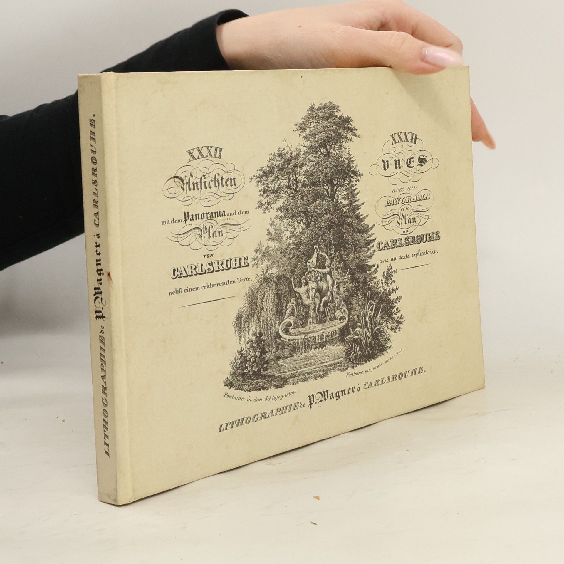 Autores varios Erinnerungen an Carlsruhe