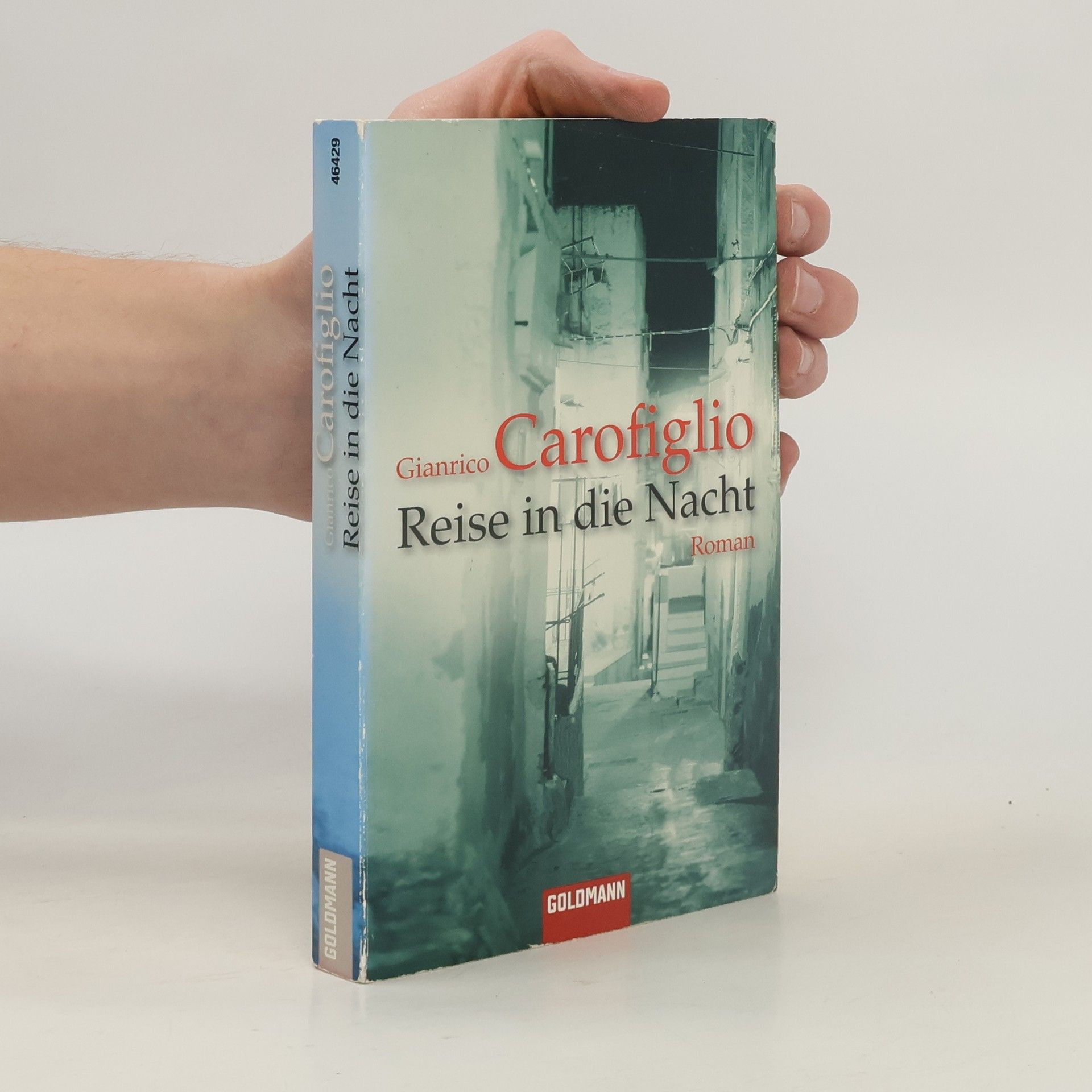 Gianrico Carofiglio Reise in die Nacht