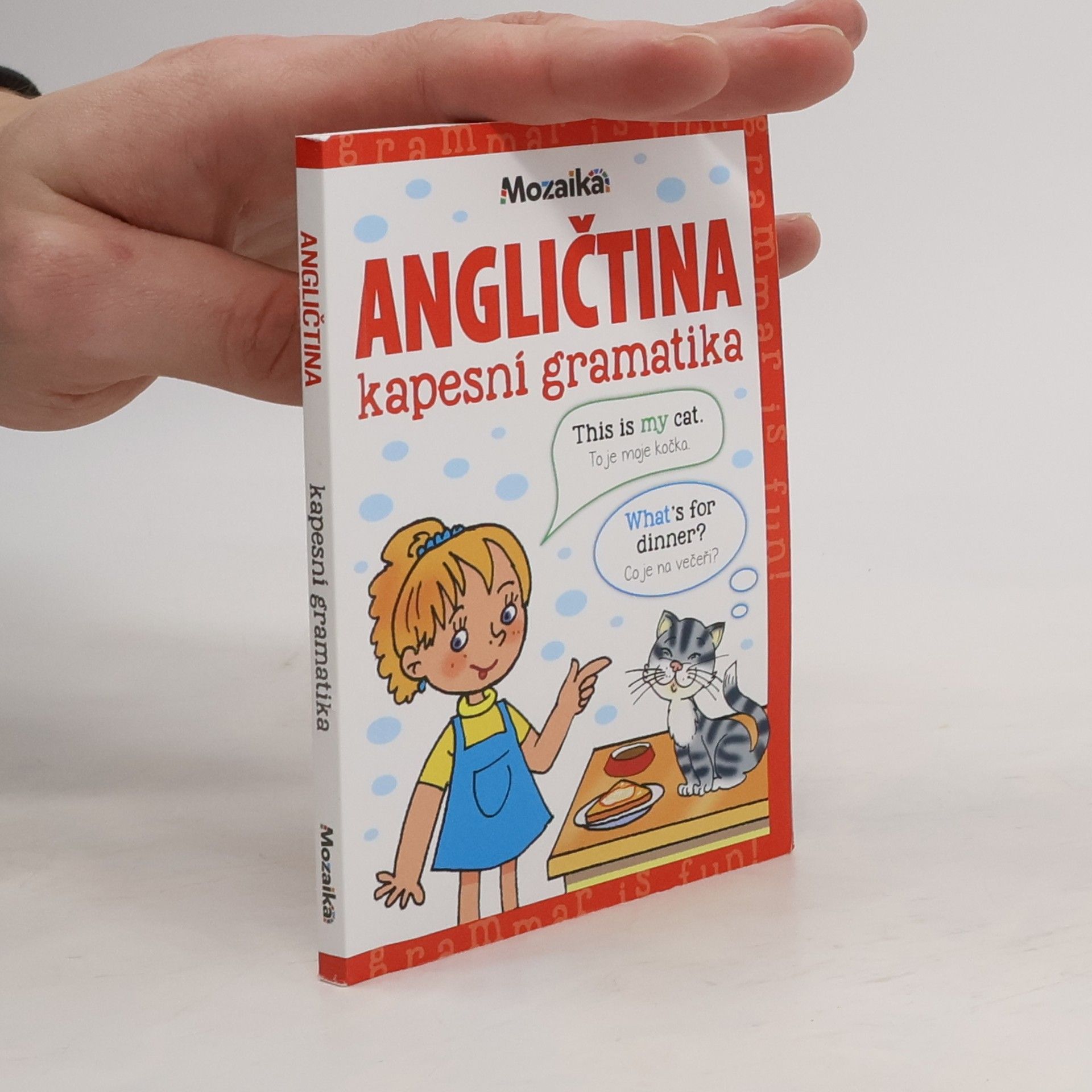 Martina Kutalová Angličtina - kapesní gramatika